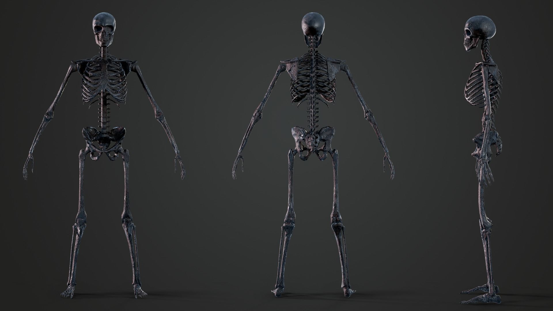 Skeleton Humanoid - Game Ready Low-poly 3D model_12