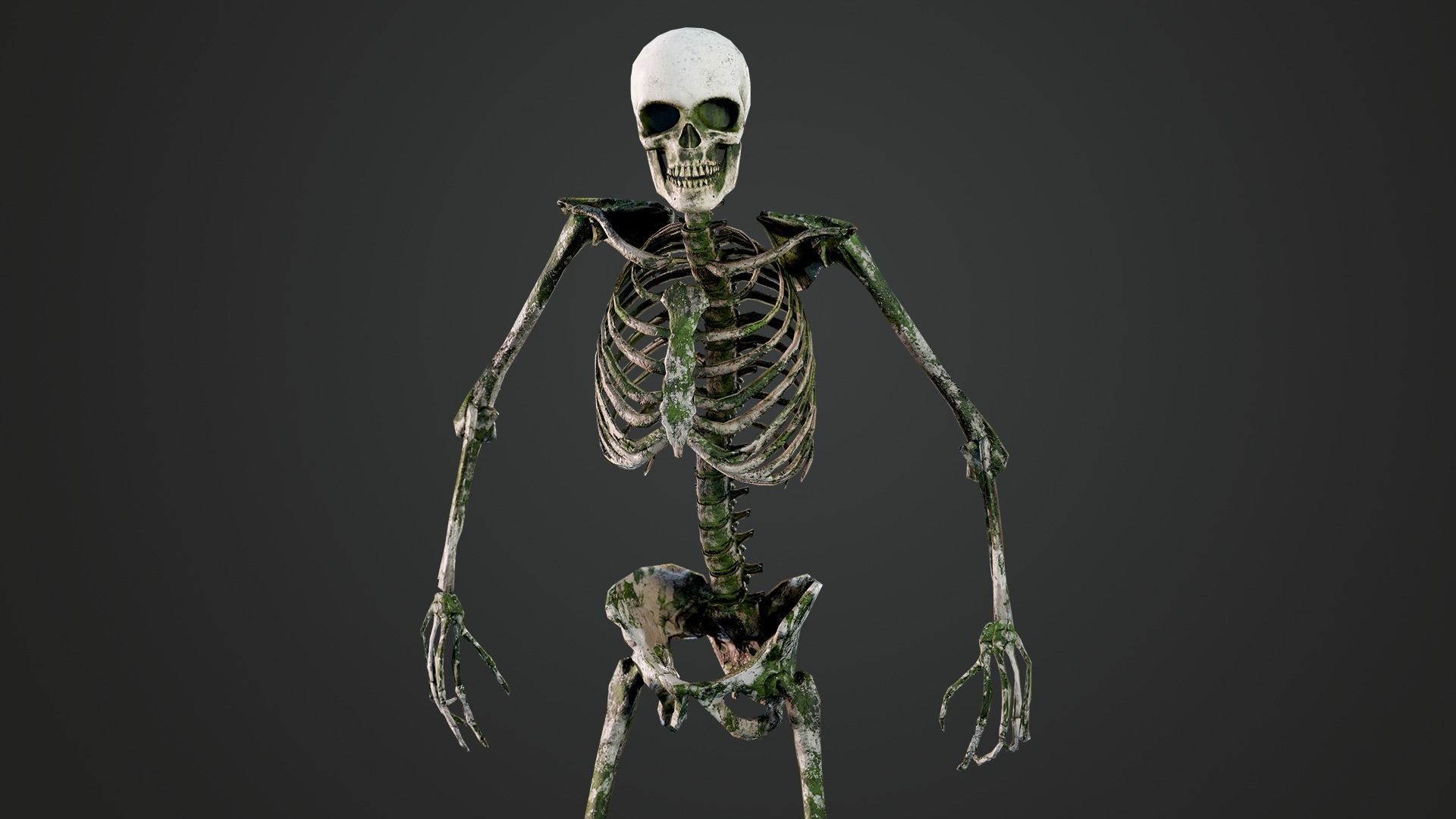 Skeleton Humanoid - Game Ready Low-poly 3D model_5
