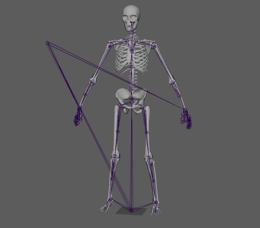 Skeleton Humanoid - Game Ready Low-poly 3D model_16