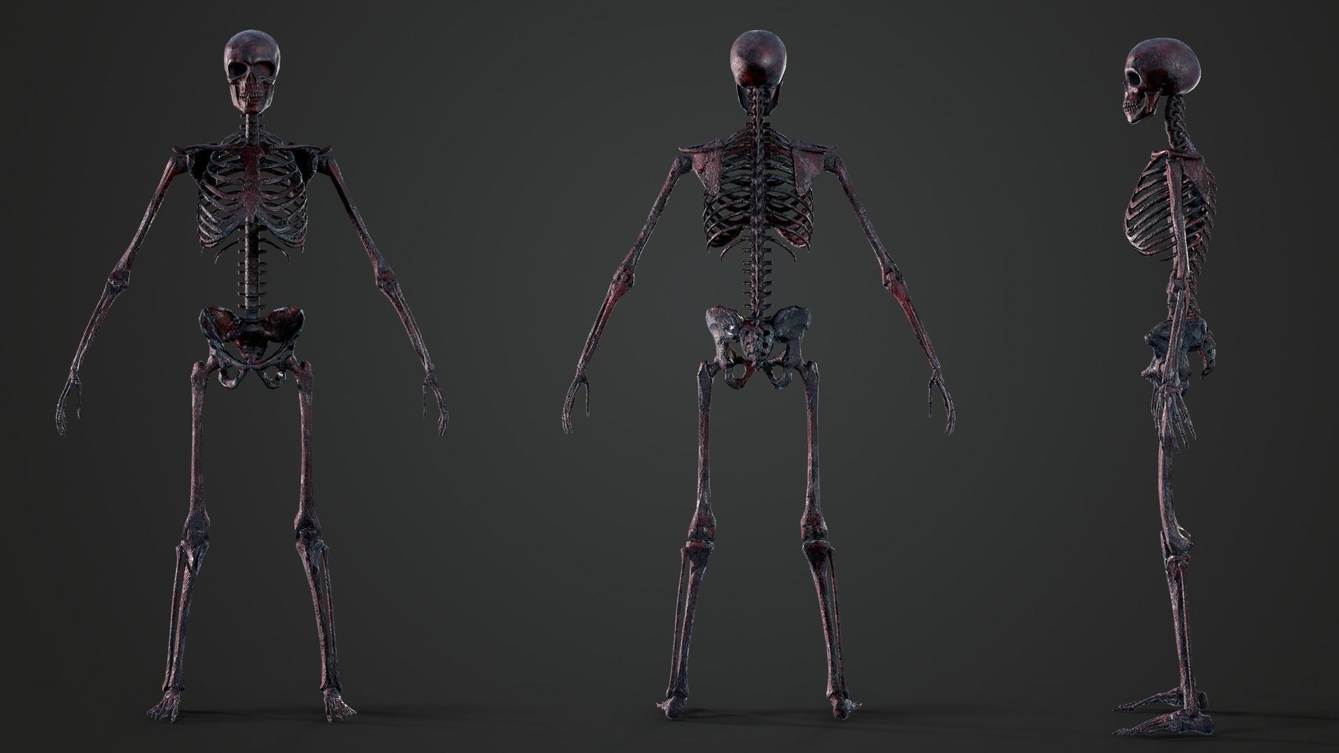 Skeleton Humanoid - Game Ready Low-poly 3D model_13