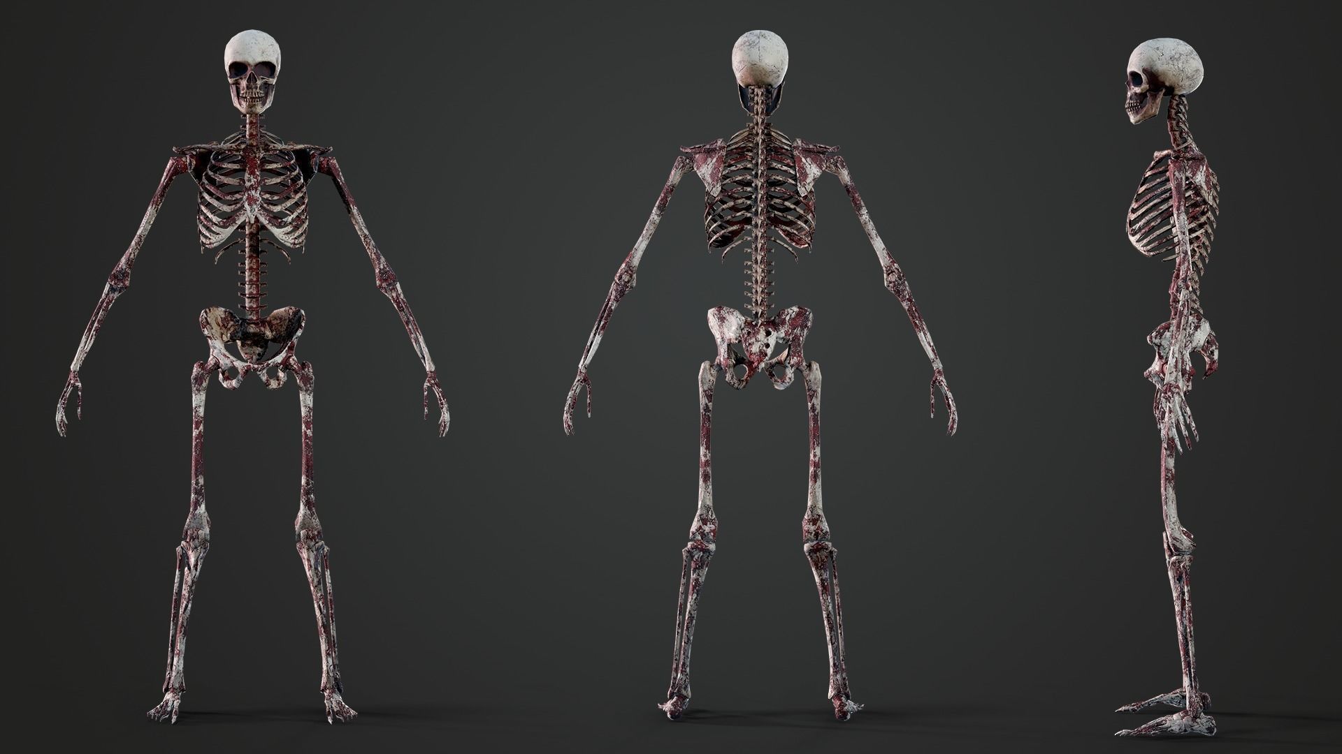 Skeleton Humanoid - Game Ready Low-poly 3D model_10