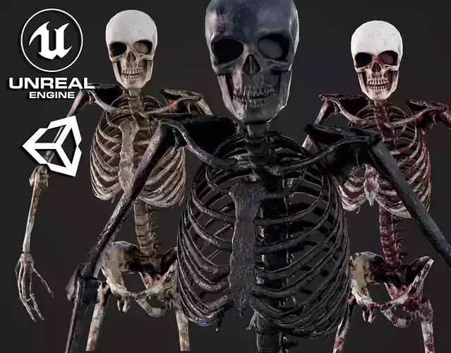 Skeleton Humanoid - Game Ready Low-poly 3D model