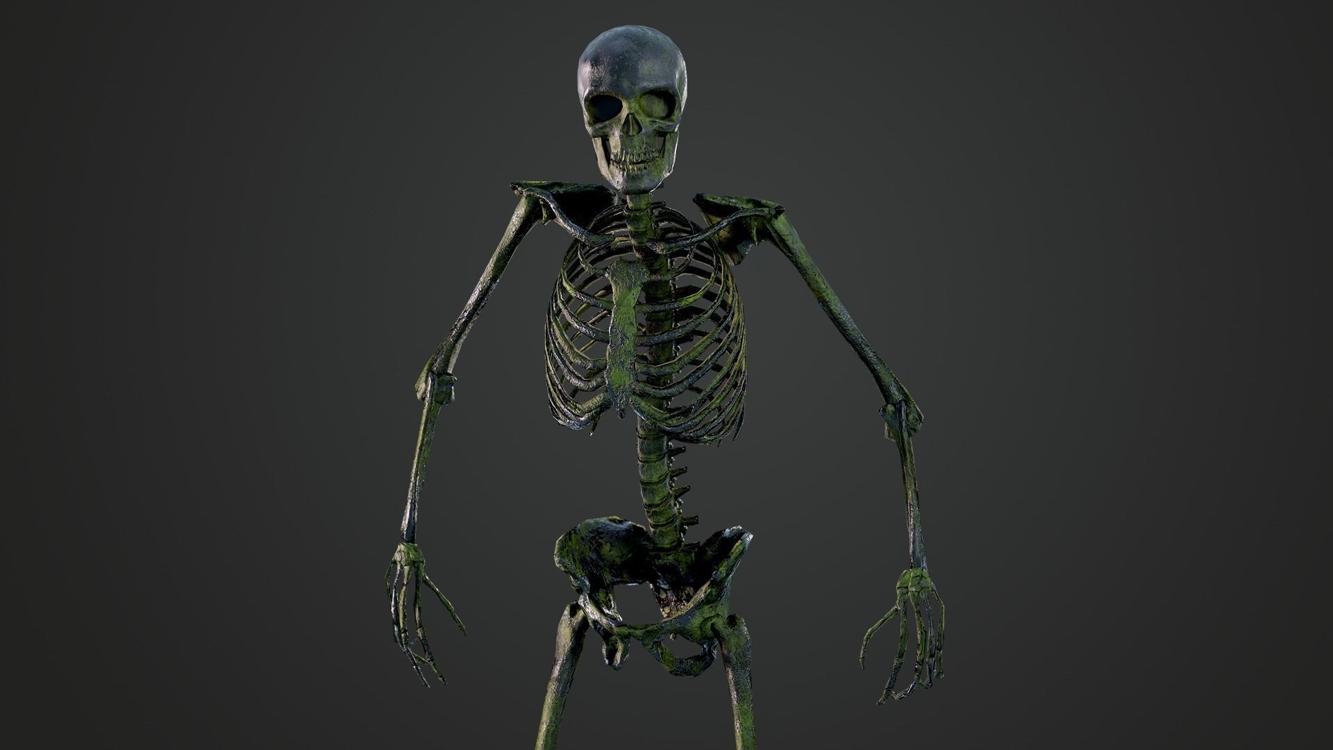 Skeleton Humanoid - Game Ready Low-poly 3D model_8