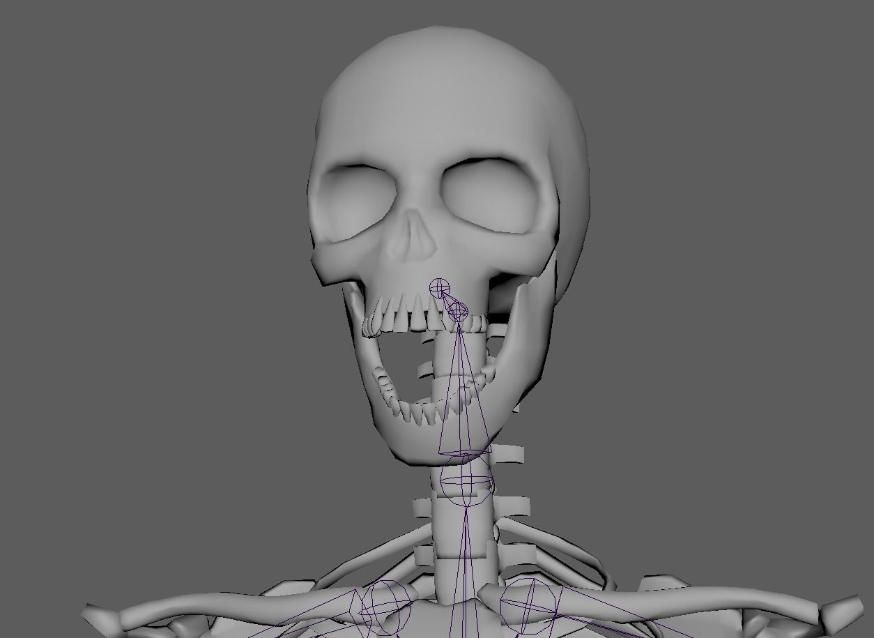 Skeleton Humanoid - Game Ready Low-poly 3D model_17