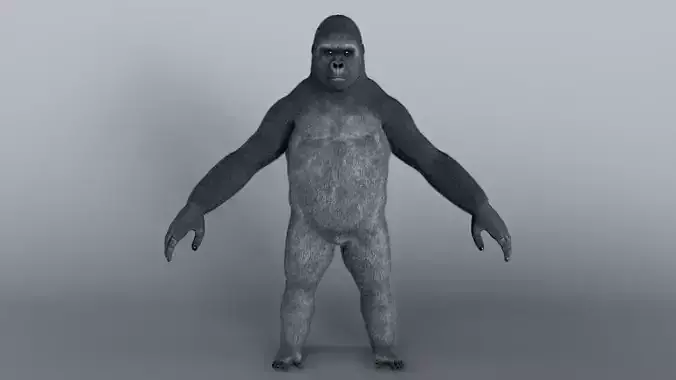 Gorilla Monster Low-poly 3D model