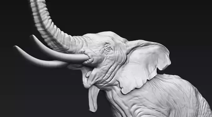 Elephant Basrelief model for 3D printing or miling 3D printmodel