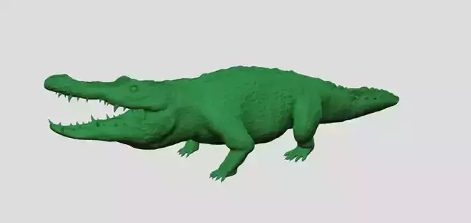 crocodile alligator