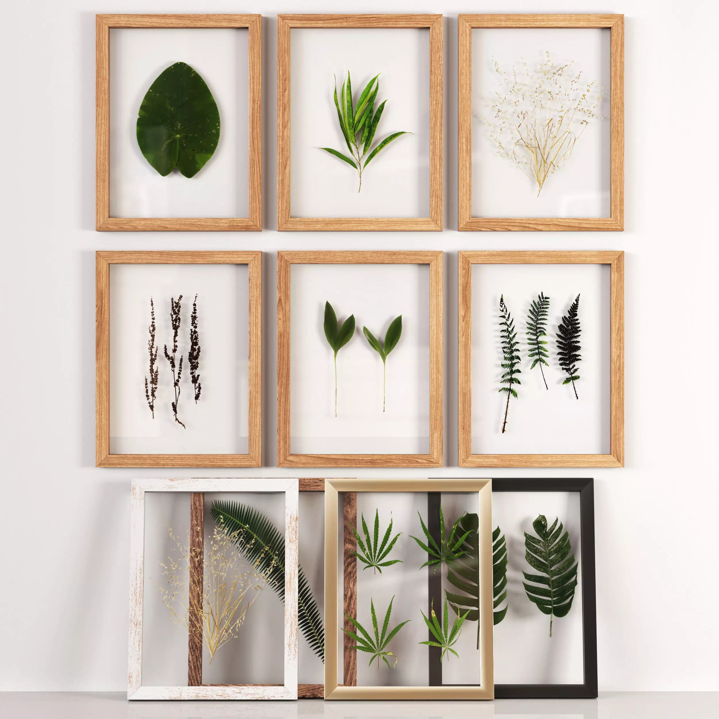Frames Set 001-With Plants Free 3D model