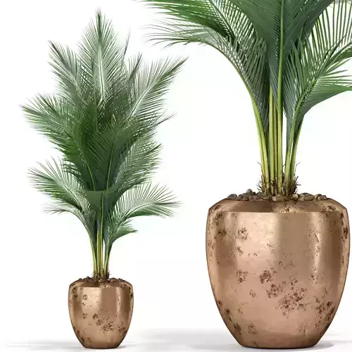 Plants collection 398 3D model