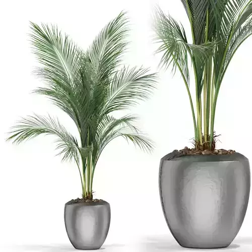 Plants collection 398 3D model