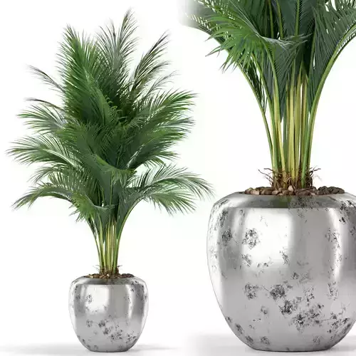 Plants collection 400