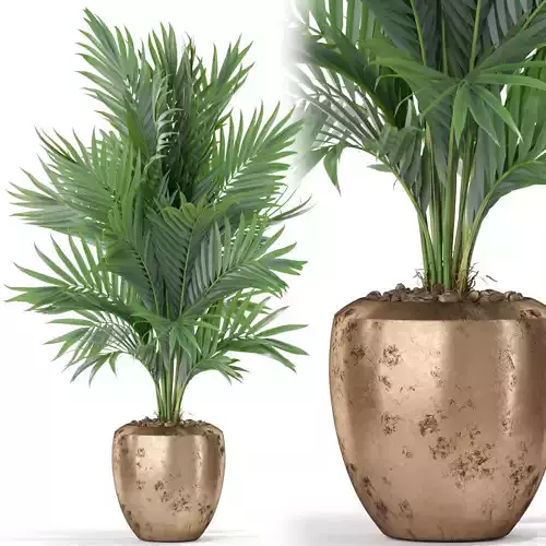 Plants collection 401