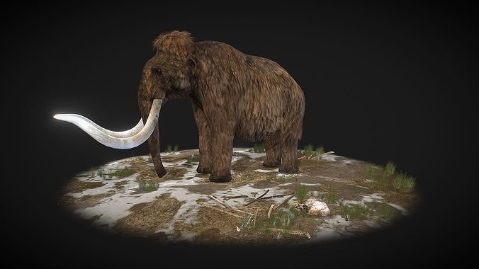 Mammoth woolly Low-poly 3D model