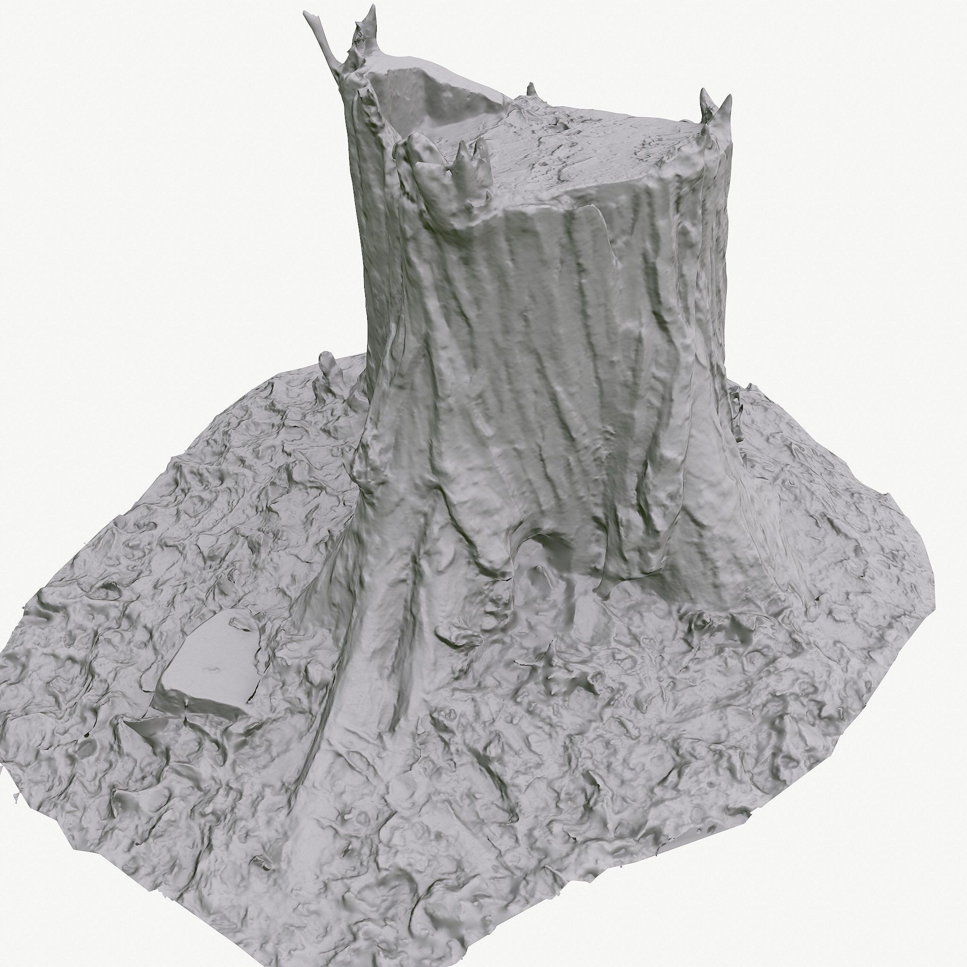 3D Scan BPR Tree Stump Collection model Low-poly 3D model_65