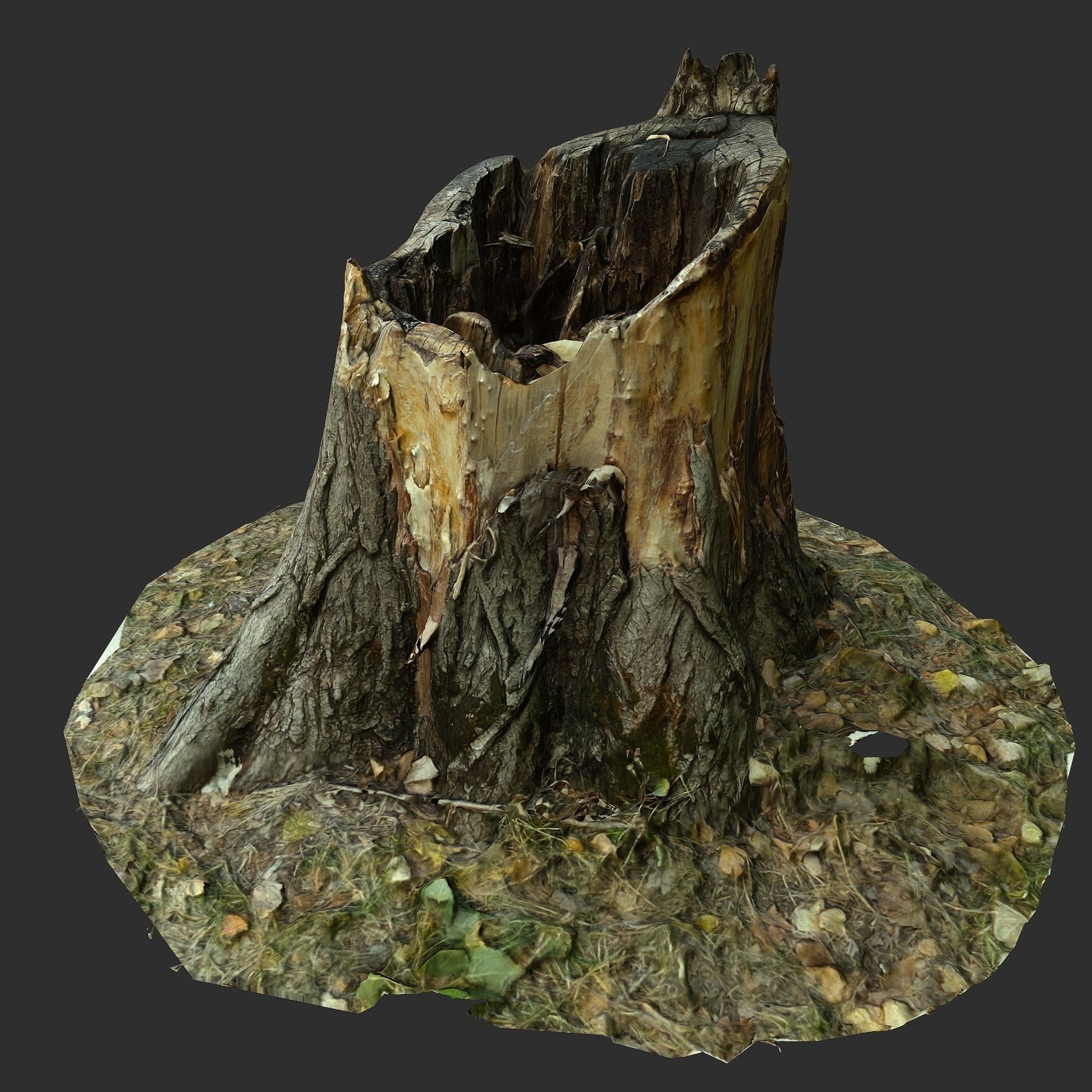 3D Scan BPR Tree Stump Collection model Low-poly 3D model_8