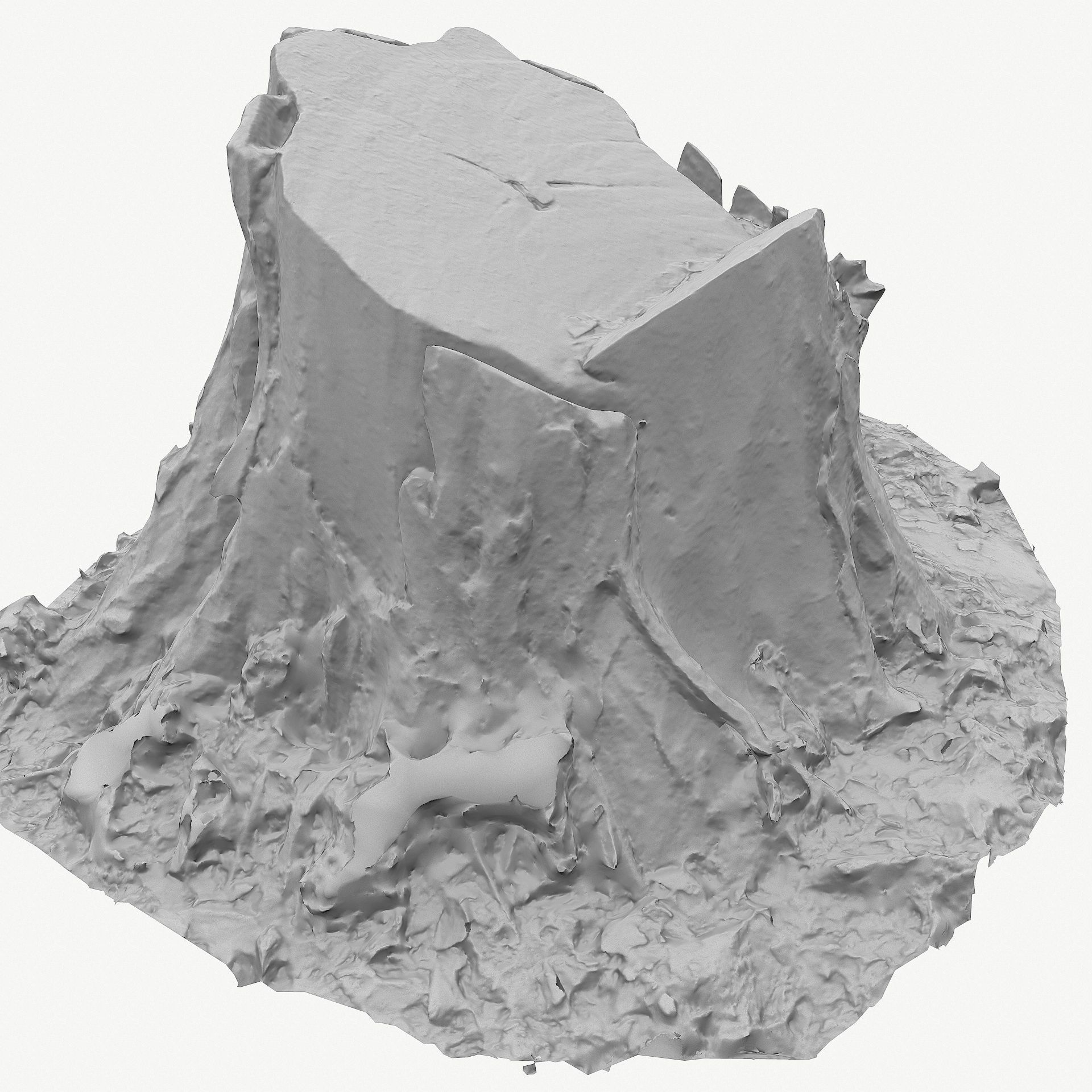 3D Scan BPR Tree Stump Collection model Low-poly 3D model_66
