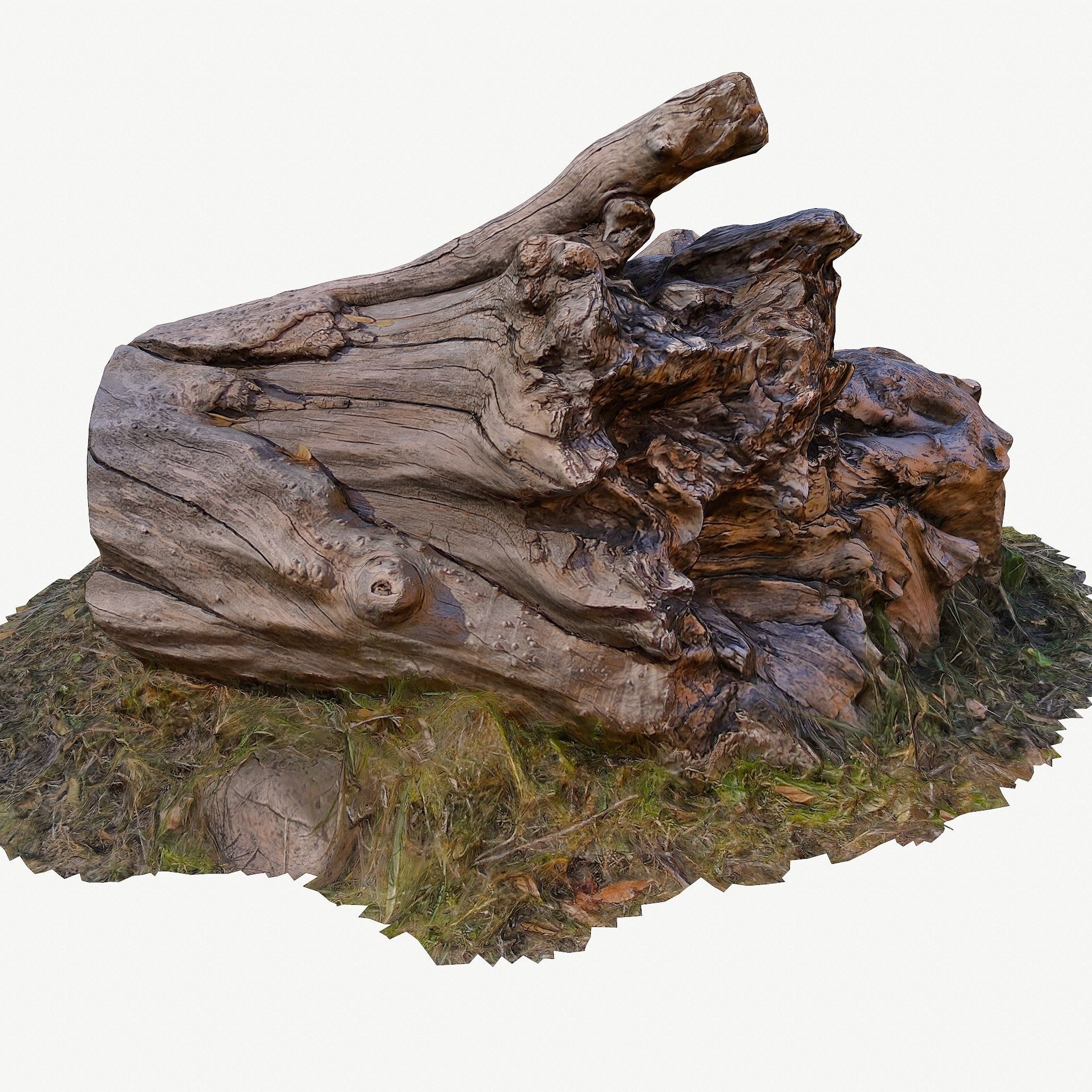 3D Scan BPR Tree Stump Collection model Low-poly 3D model_56