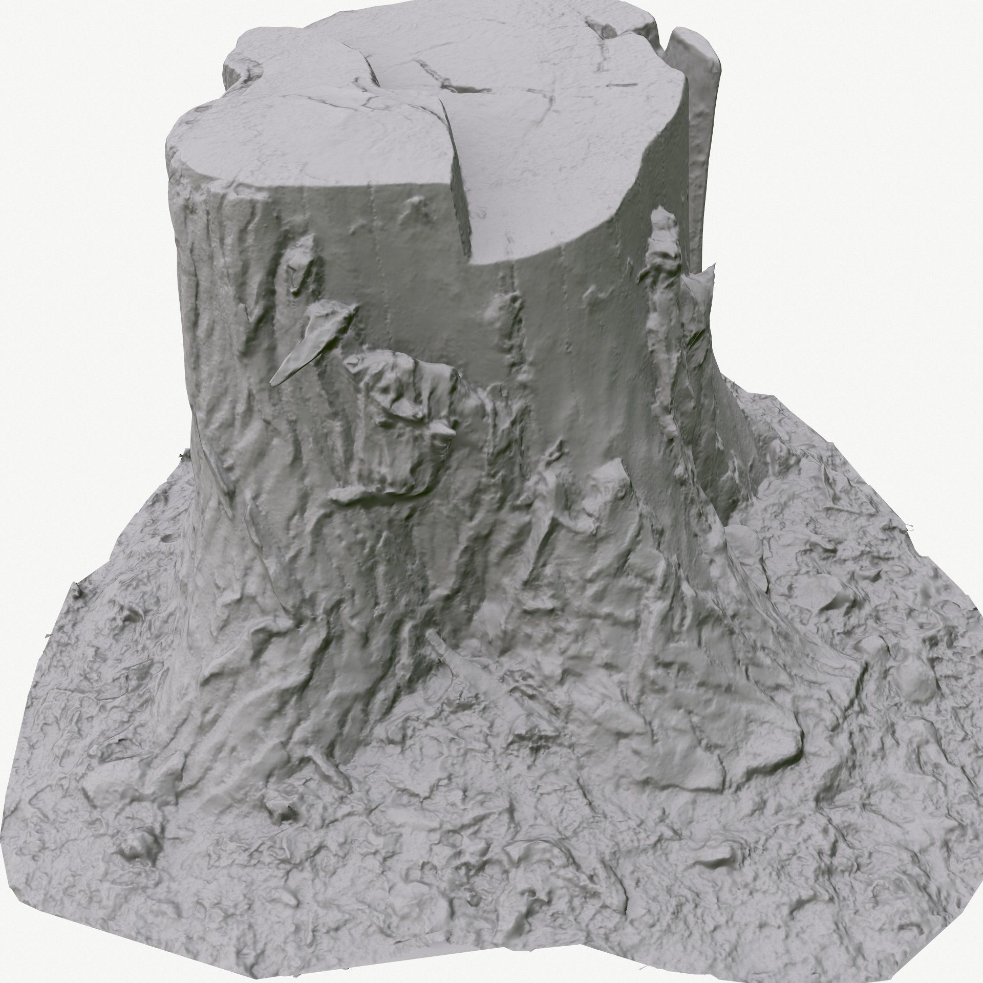 3D Scan BPR Tree Stump Collection model Low-poly 3D model_125