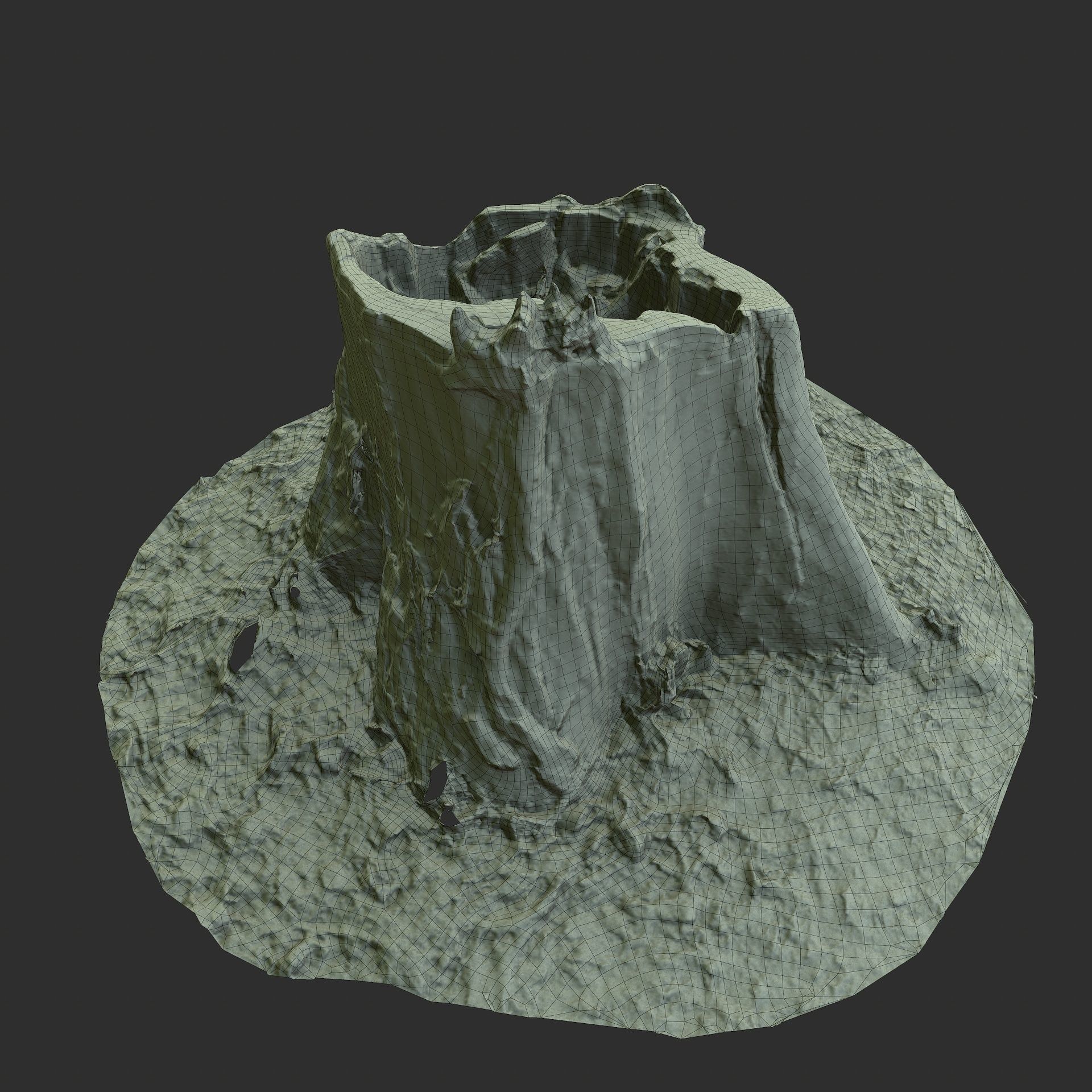 3D Scan BPR Tree Stump Collection model Low-poly 3D model_76