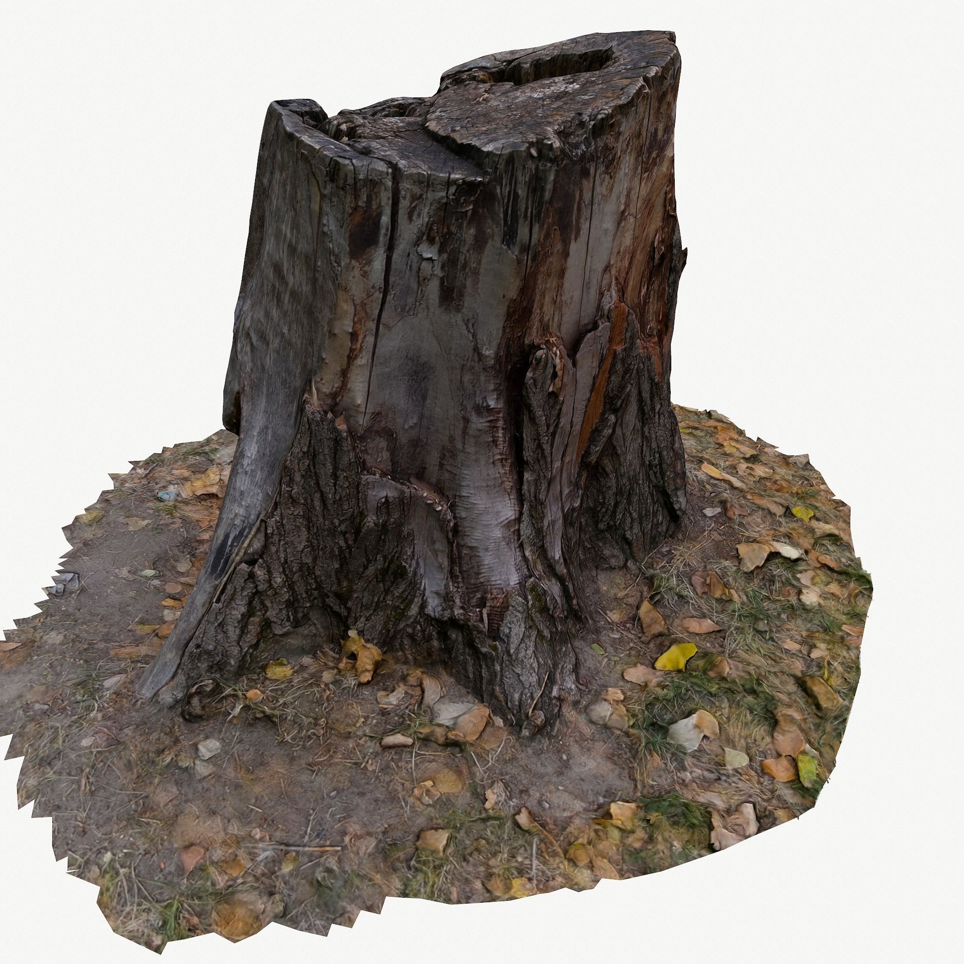 3D Scan BPR Tree Stump Collection model Low-poly 3D model_2