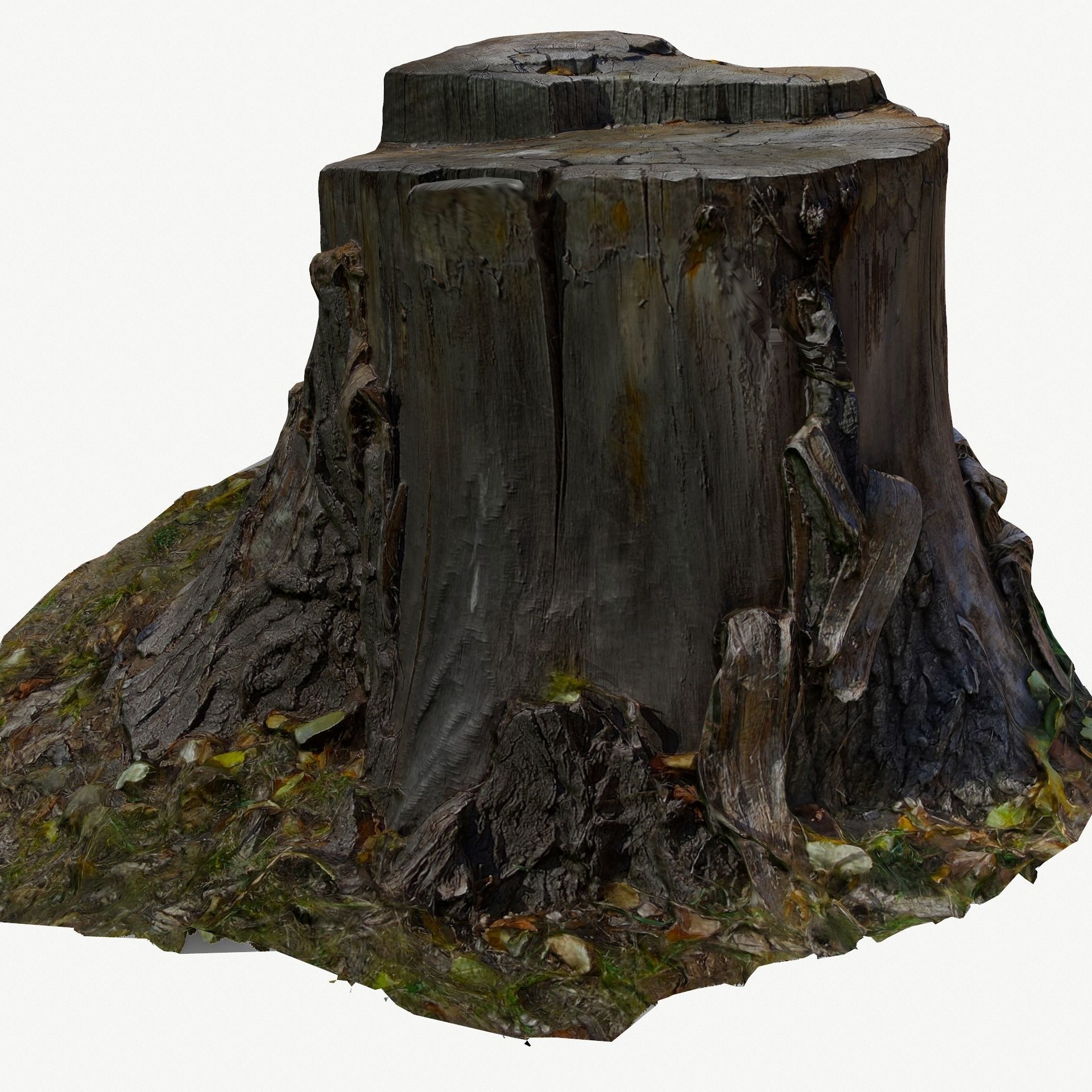 3D Scan BPR Tree Stump Collection model Low-poly 3D model_85