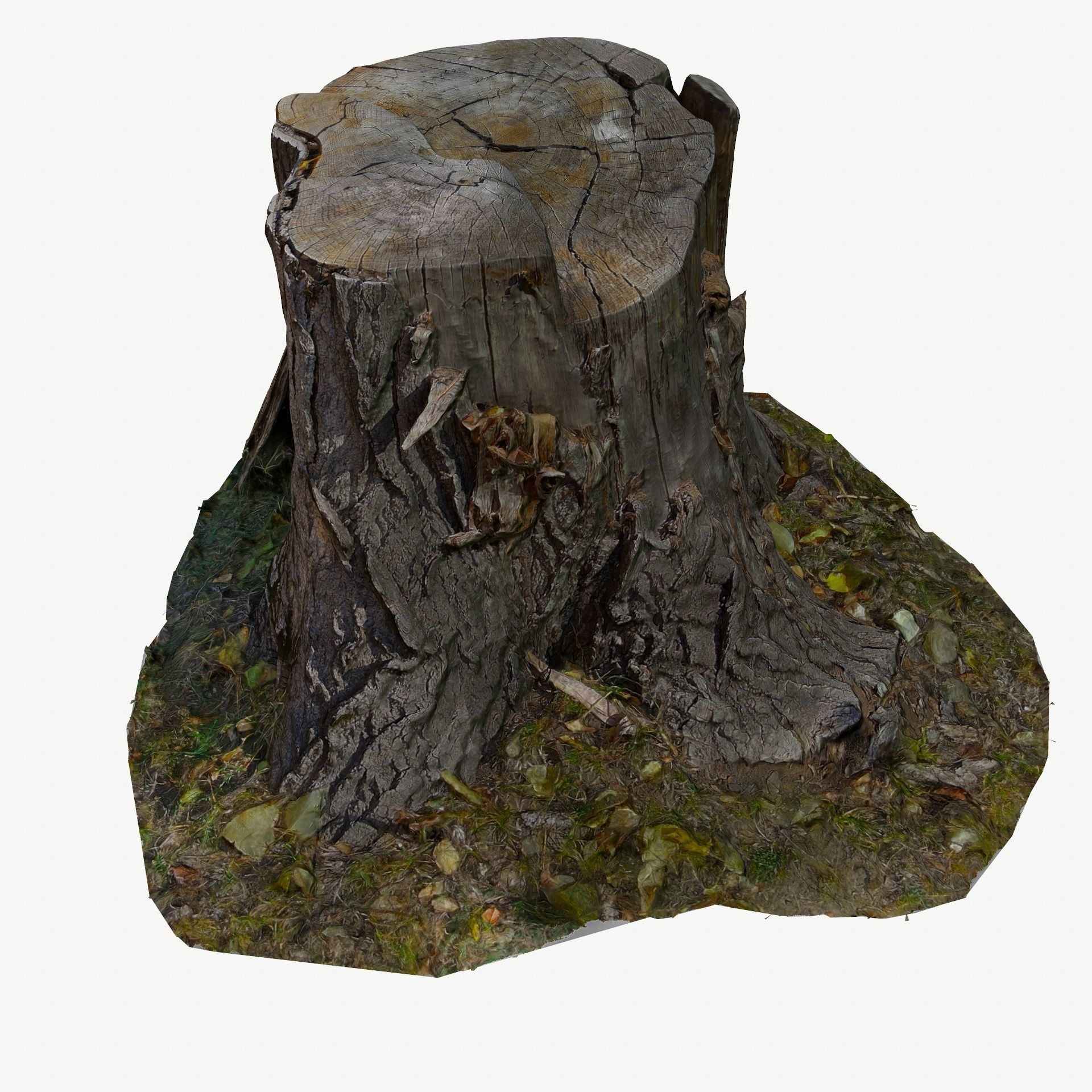3D Scan BPR Tree Stump Collection model Low-poly 3D model_67