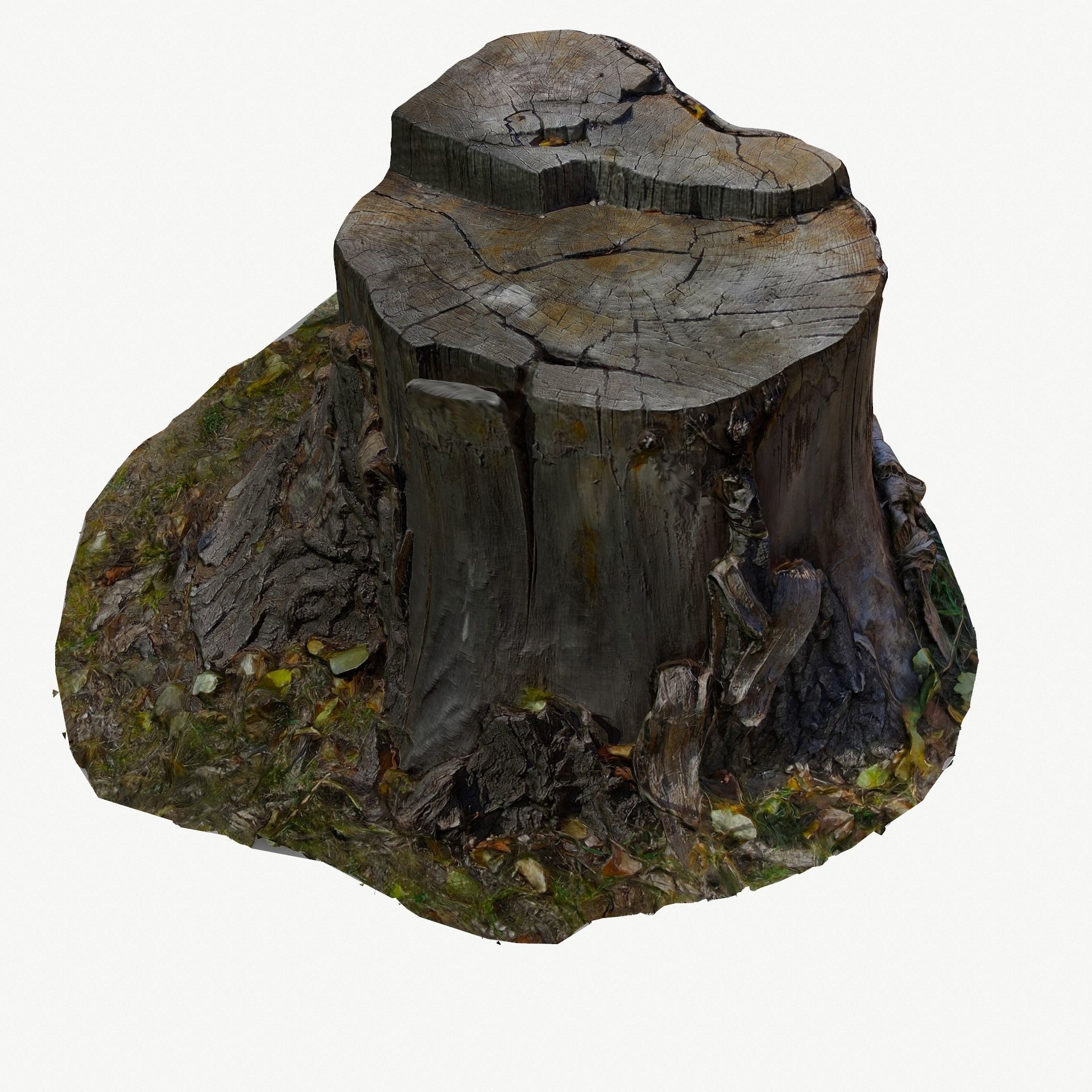 3D Scan BPR Tree Stump Collection model Low-poly 3D model_24