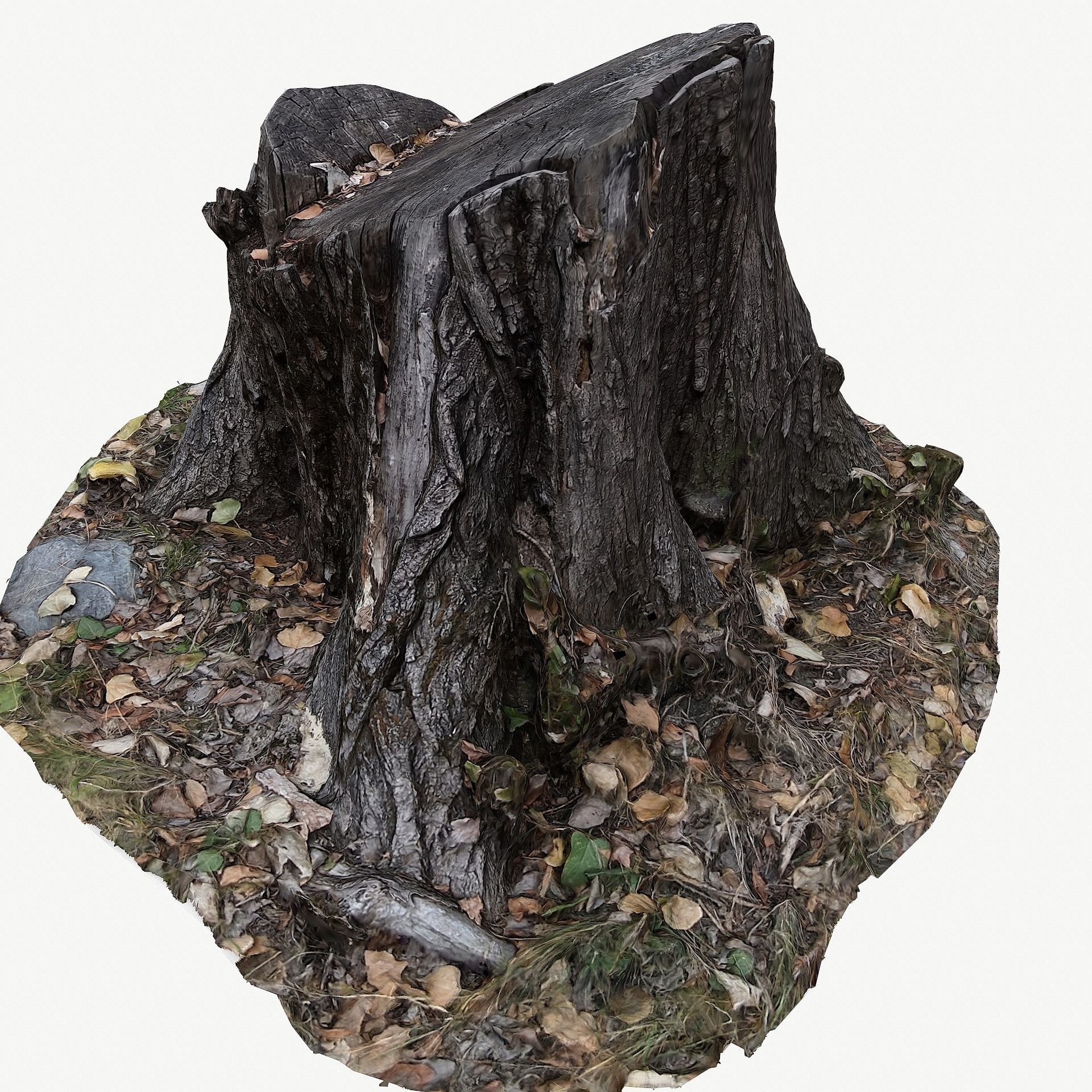 3D Scan BPR Tree Stump Collection model Low-poly 3D model_12