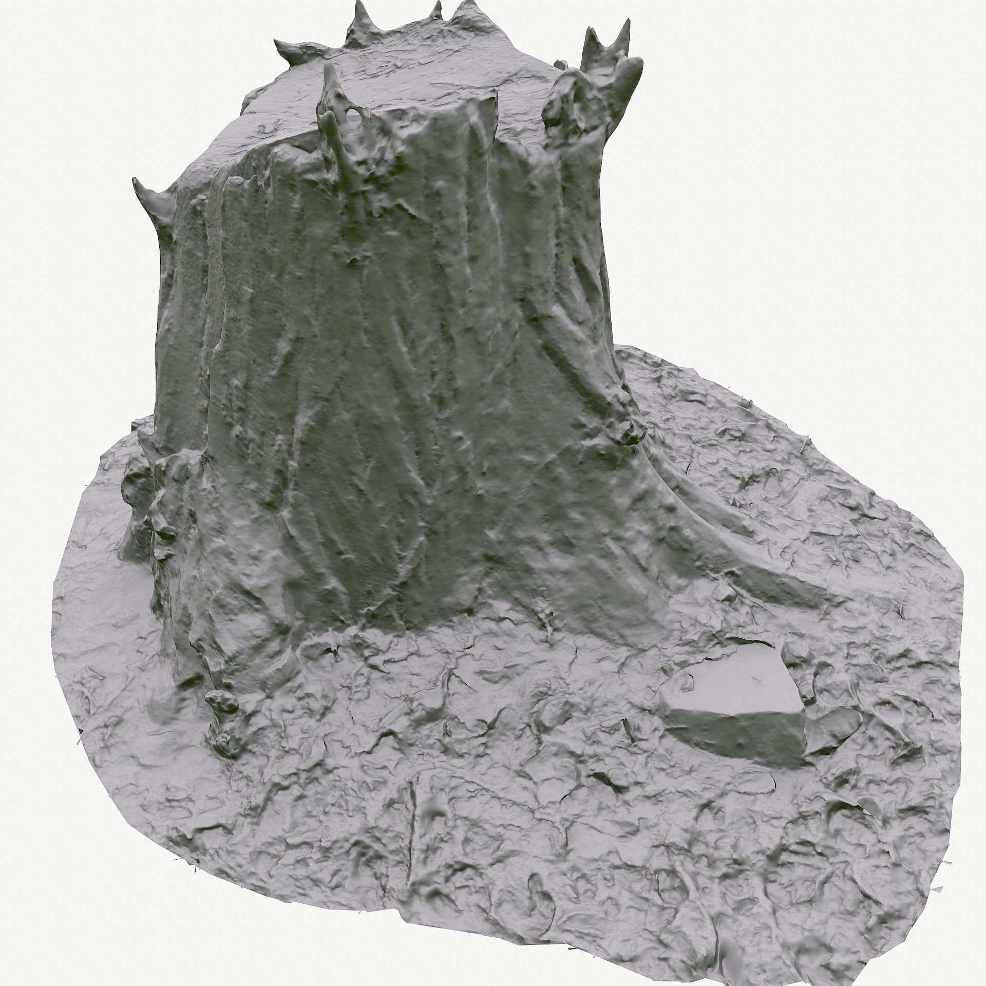 3D Scan BPR Tree Stump Collection model Low-poly 3D model_78
