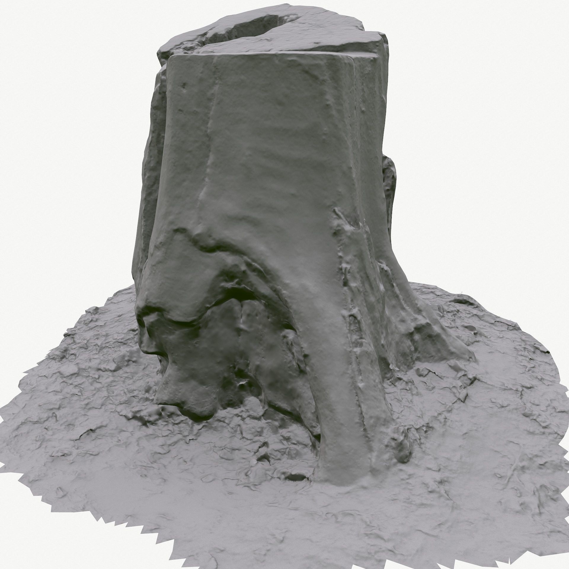 3D Scan BPR Tree Stump Collection model Low-poly 3D model_97