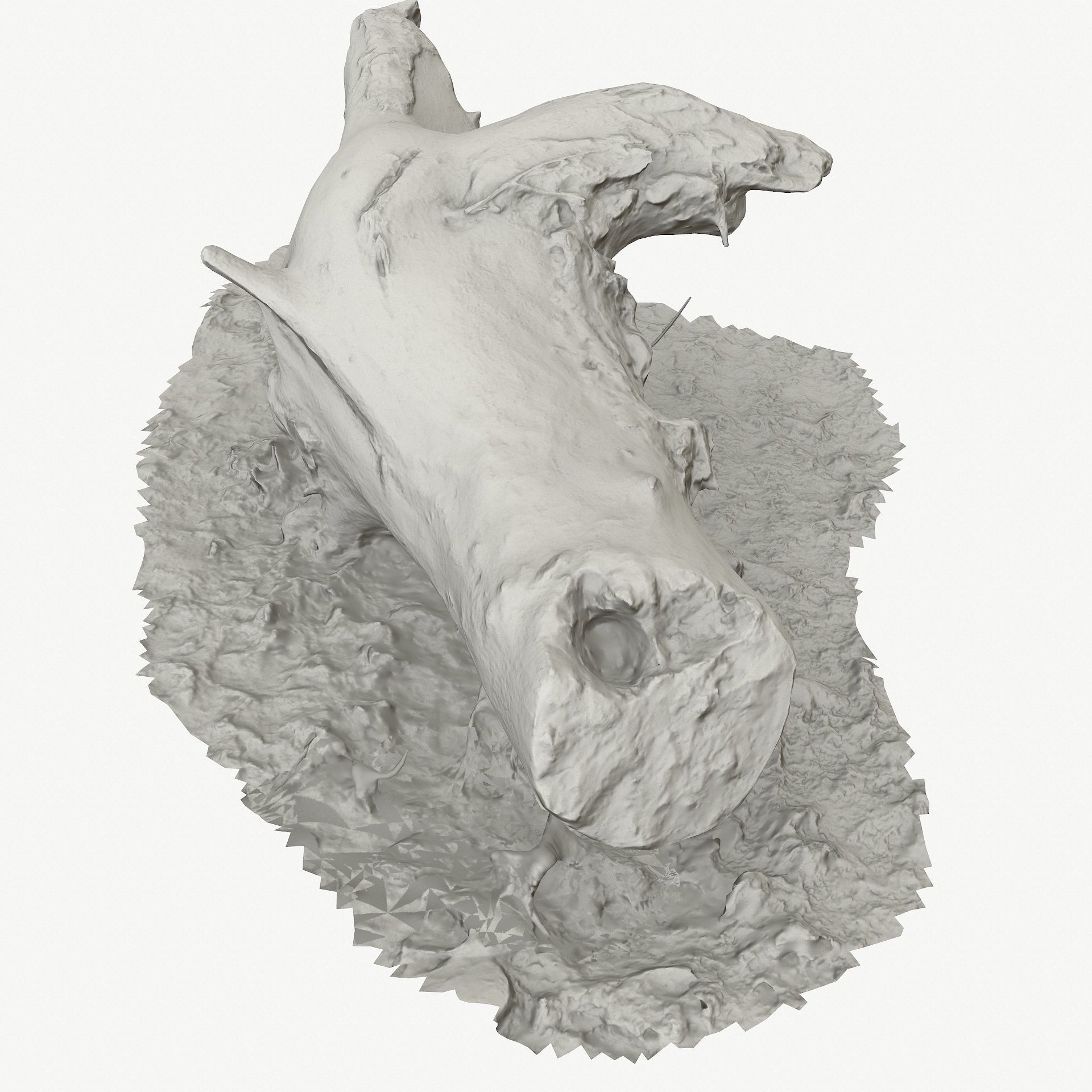 3D Scan BPR Tree Stump Collection model Low-poly 3D model_81