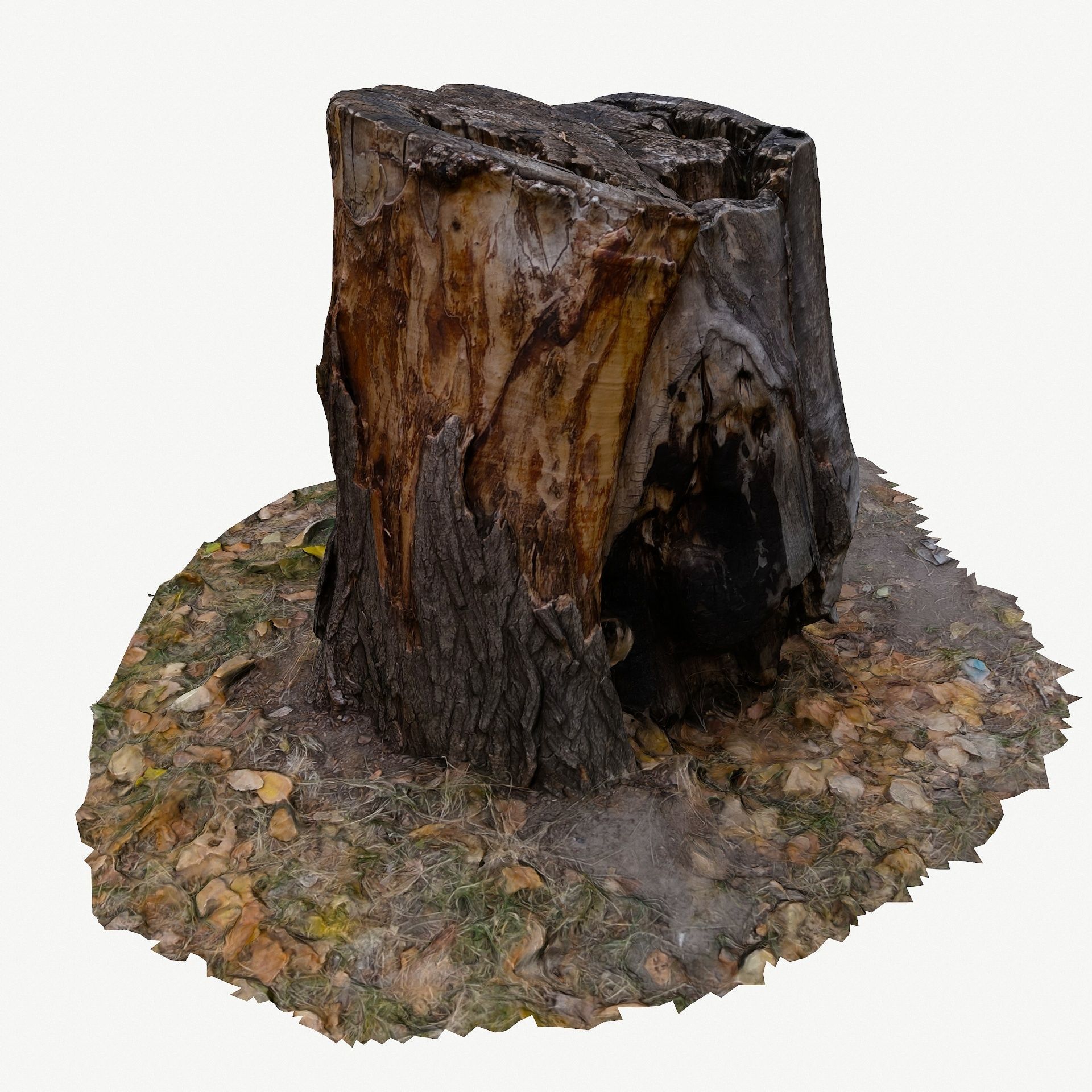 3D Scan BPR Tree Stump Collection model Low-poly 3D model_23