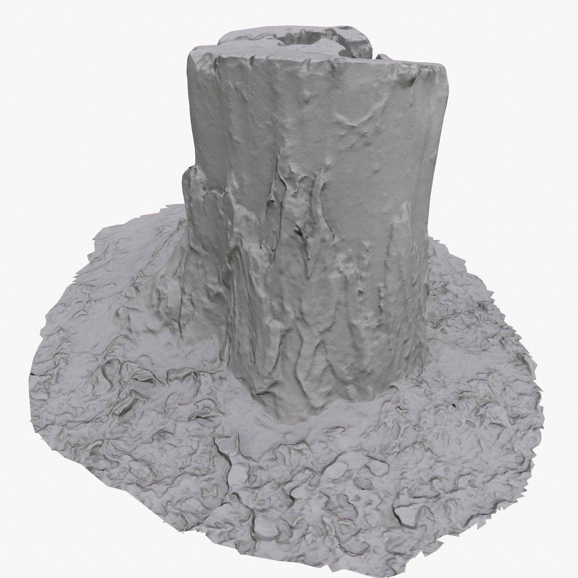 3D Scan BPR Tree Stump Collection model Low-poly 3D model_64