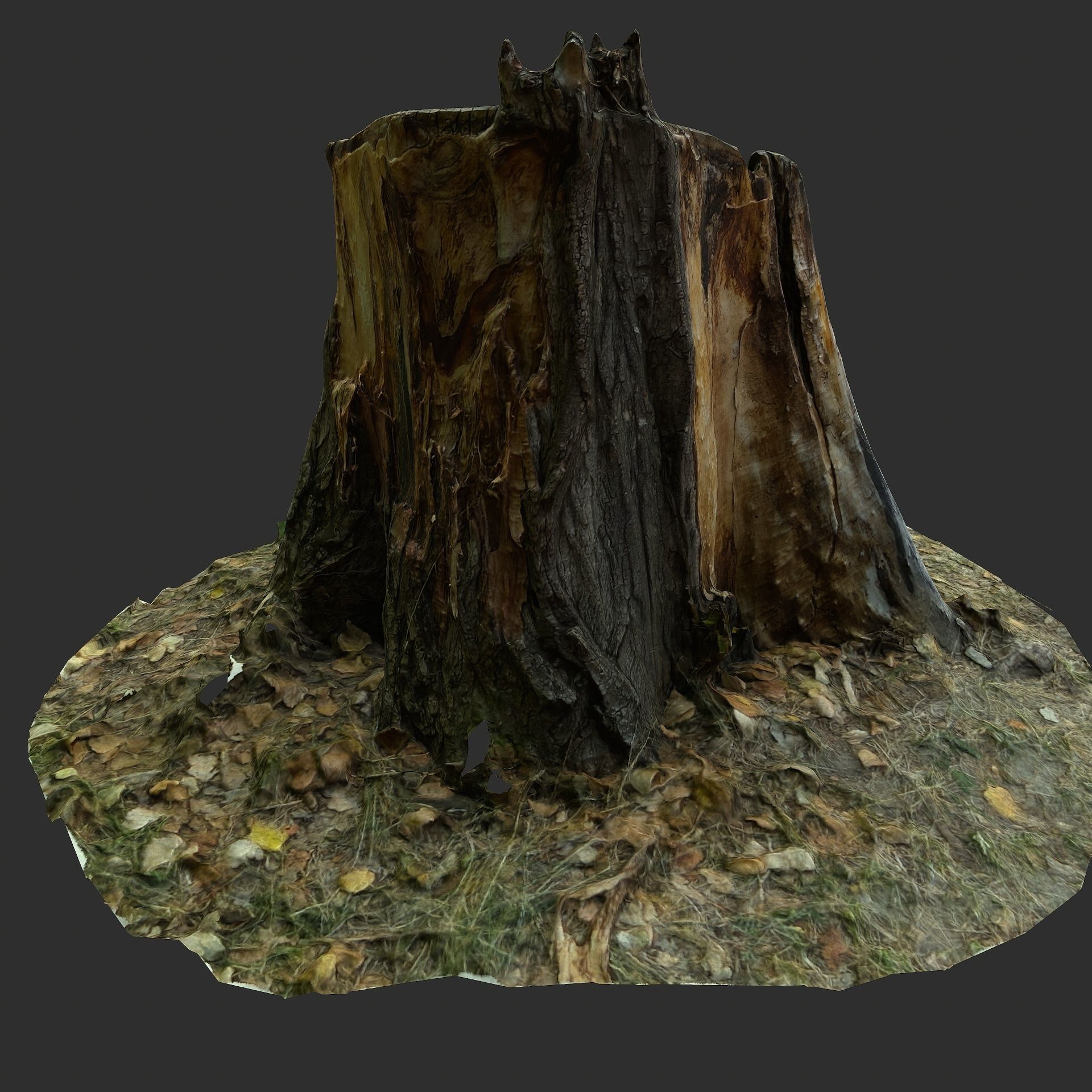 3D Scan BPR Tree Stump Collection model Low-poly 3D model_22