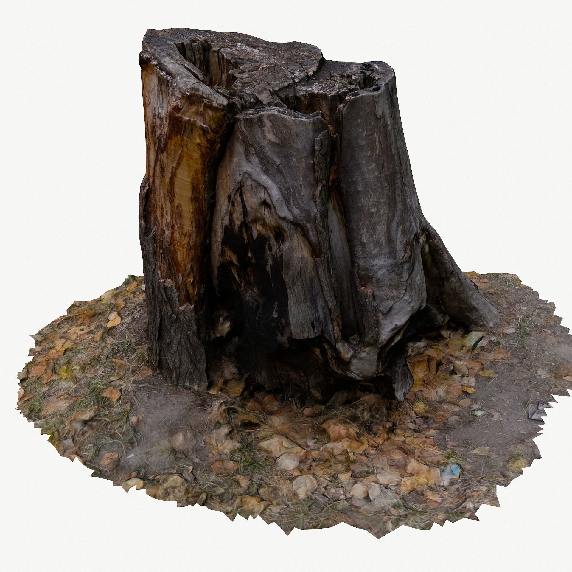 3D Scan BPR Tree Stump Collection model Low-poly 3D model_29
