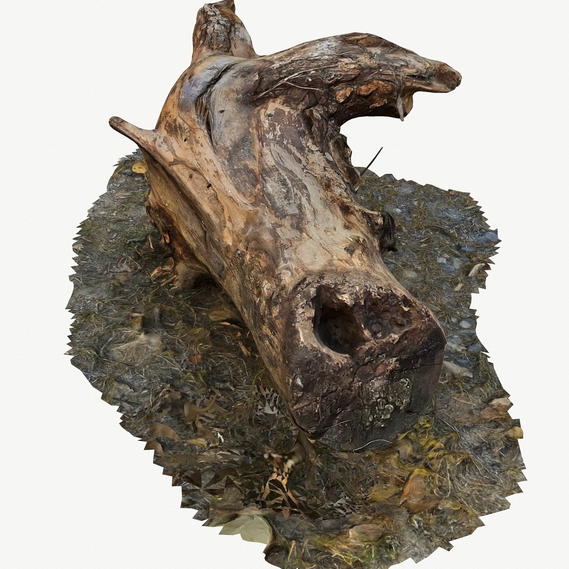 3D Scan BPR Tree Stump Collection model Low-poly 3D model_55