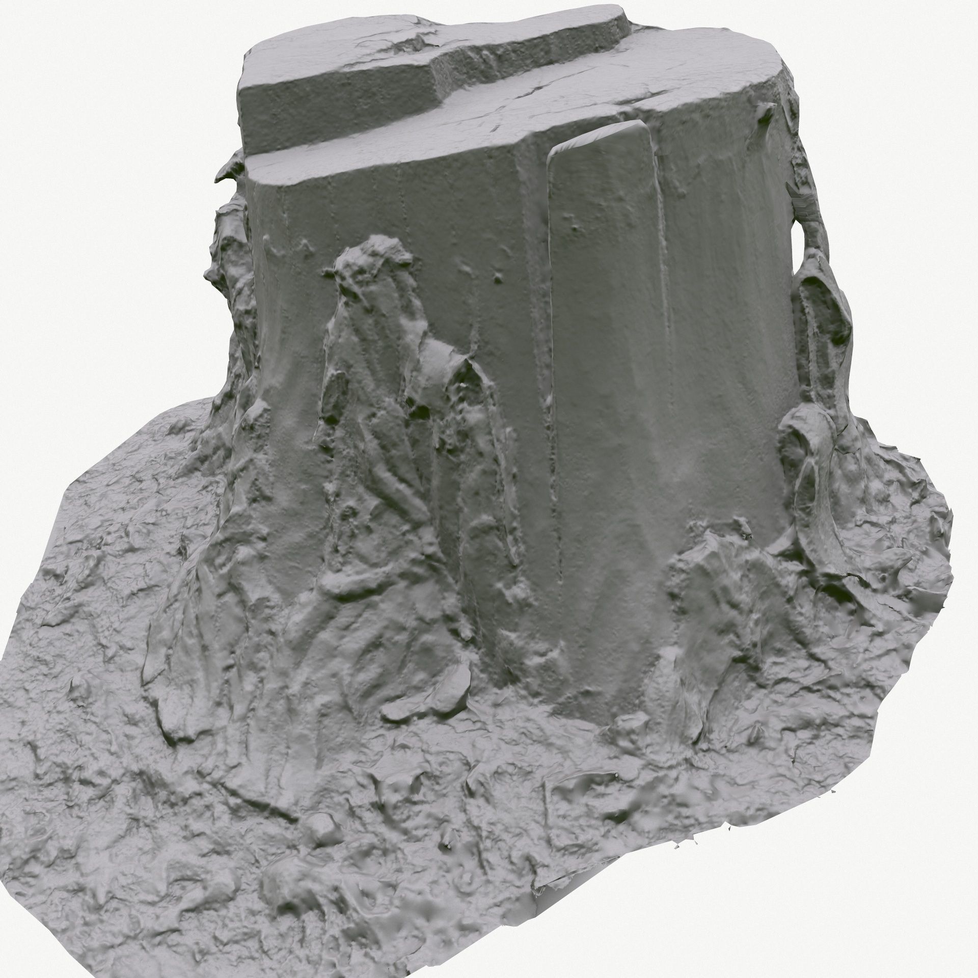 3D Scan BPR Tree Stump Collection model Low-poly 3D model_136