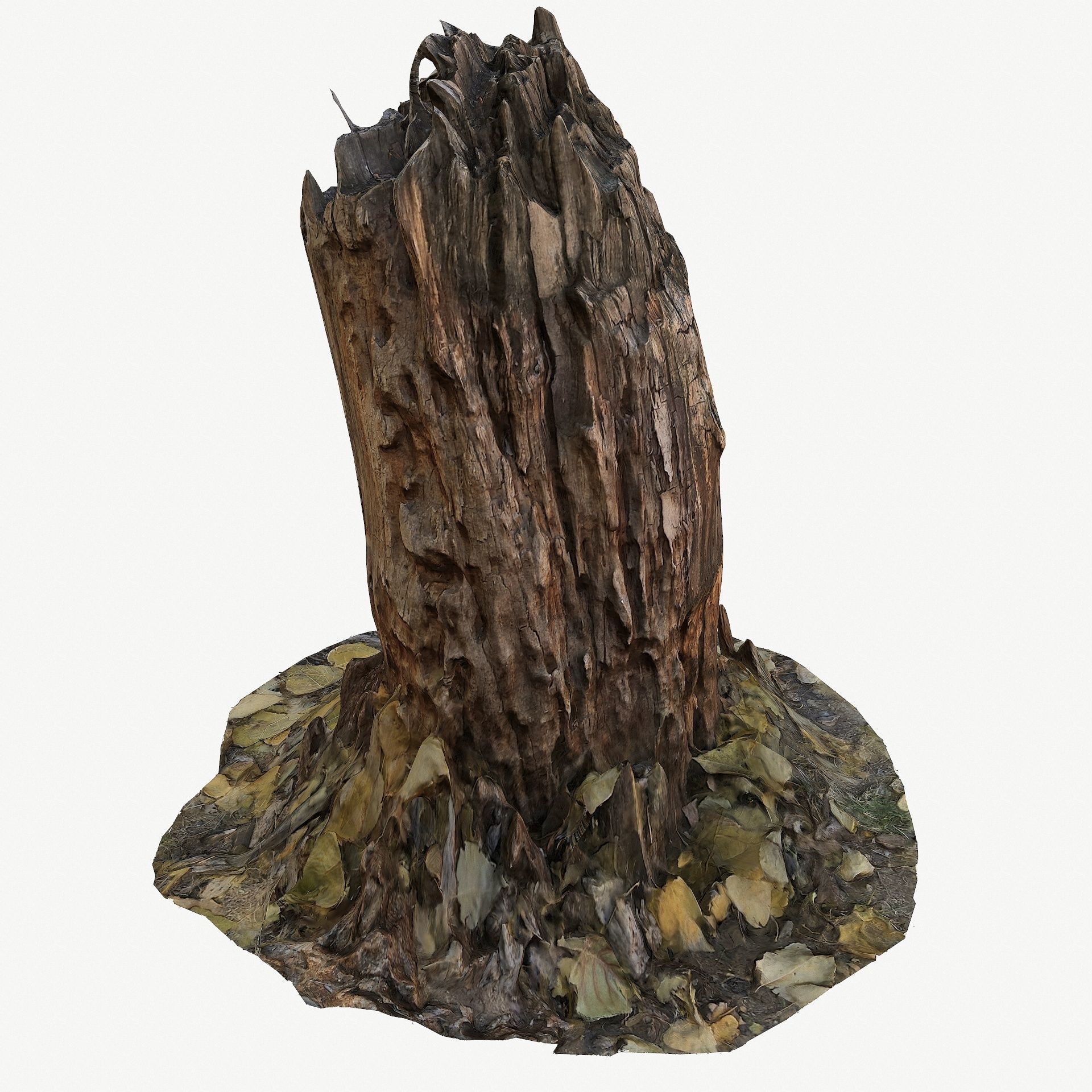 3D Scan BPR Tree Stump Collection model Low-poly 3D model_40