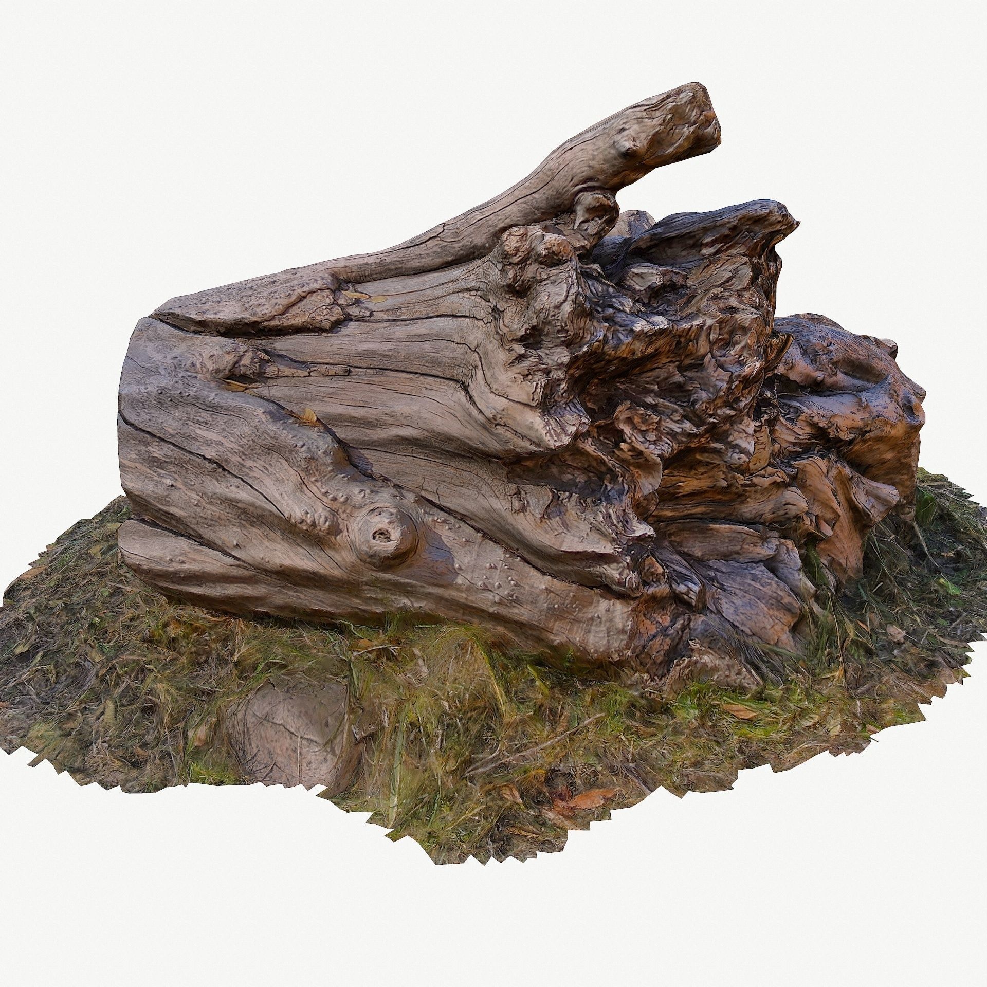 3D Scan BPR Tree Stump Collection model Low-poly 3D model_14