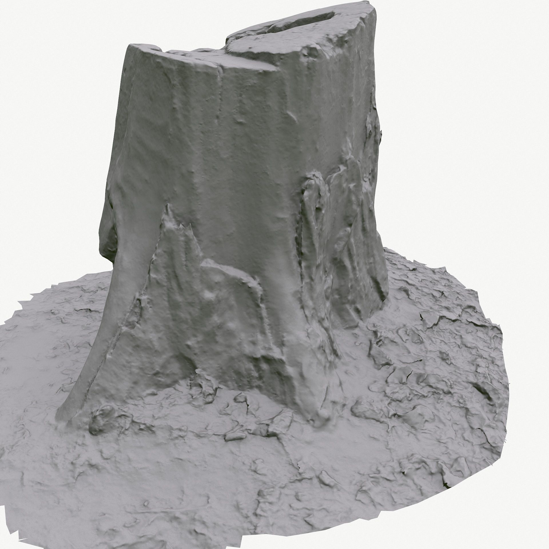 3D Scan BPR Tree Stump Collection model Low-poly 3D model_104