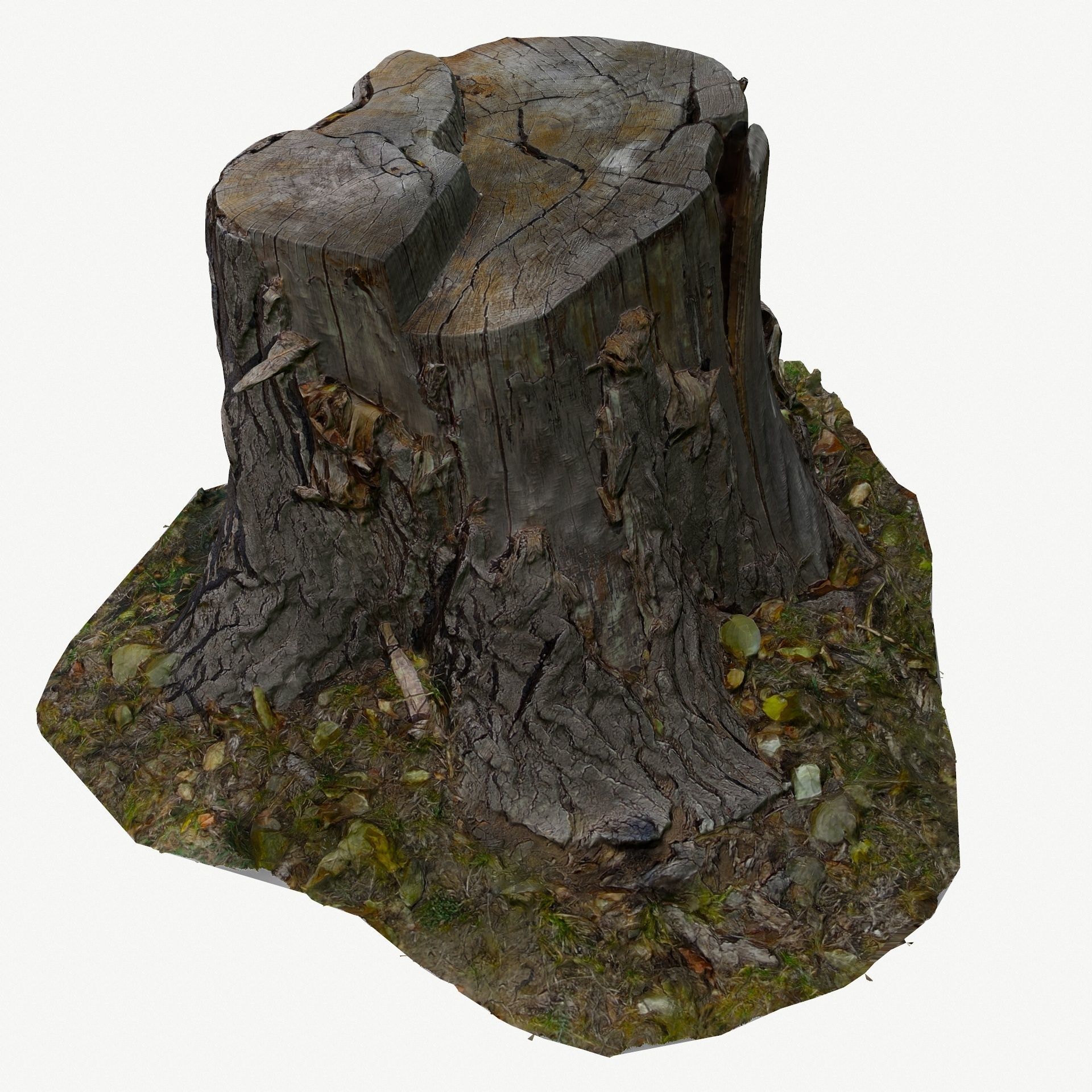 3D Scan BPR Tree Stump Collection model Low-poly 3D model_3