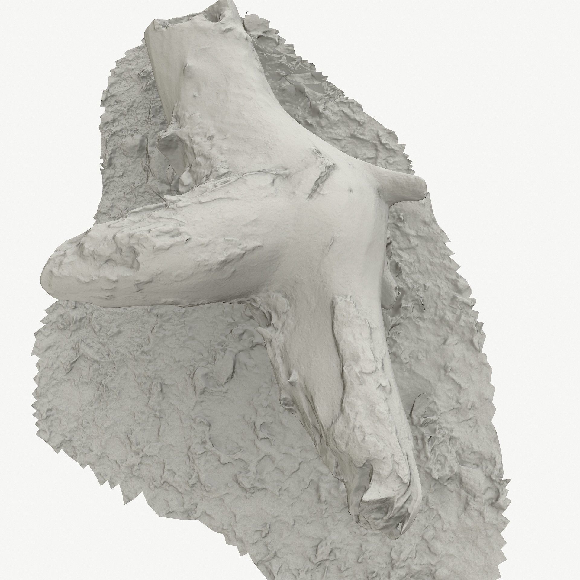 3D Scan BPR Tree Stump Collection model Low-poly 3D model_108