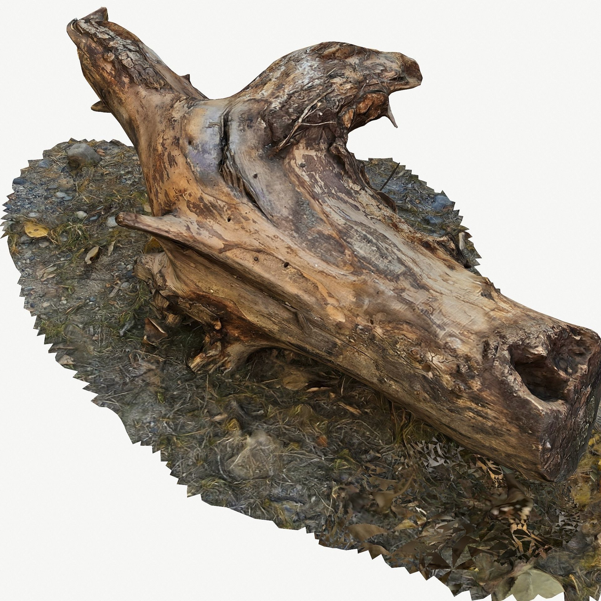 3D Scan BPR Tree Stump Collection model Low-poly 3D model_47
