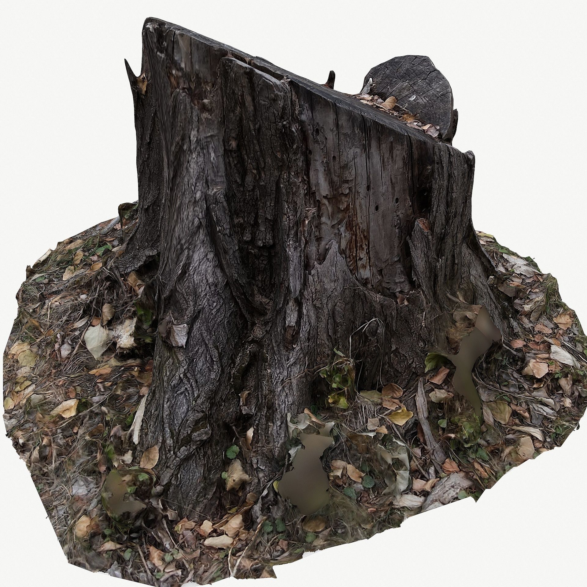 3D Scan BPR Tree Stump Collection model Low-poly 3D model_33