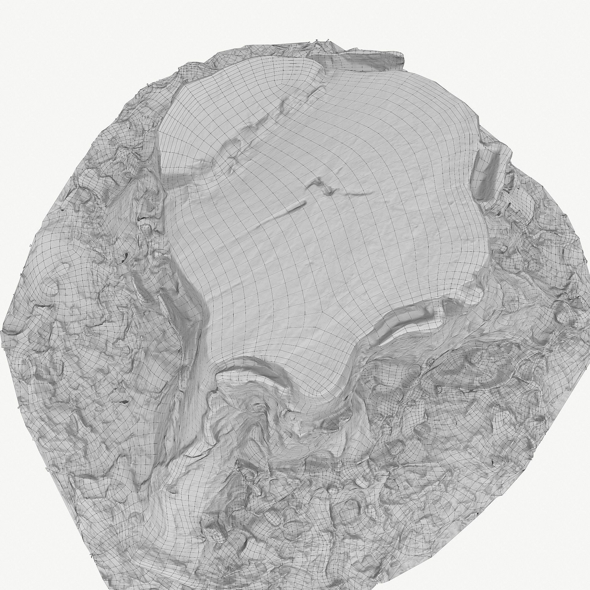 3D Scan BPR Tree Stump Collection model Low-poly 3D model_134