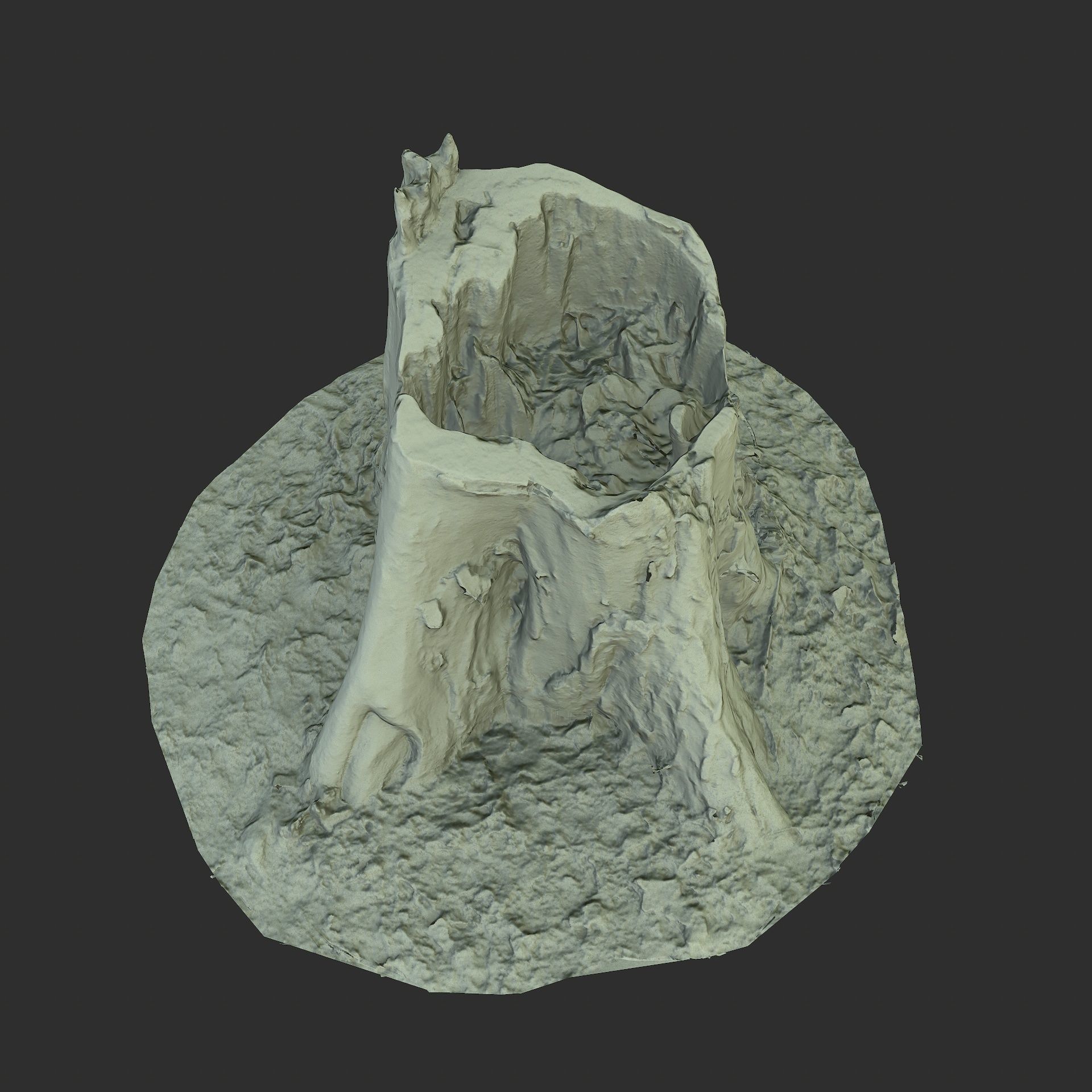 3D Scan BPR Tree Stump Collection model Low-poly 3D model_49
