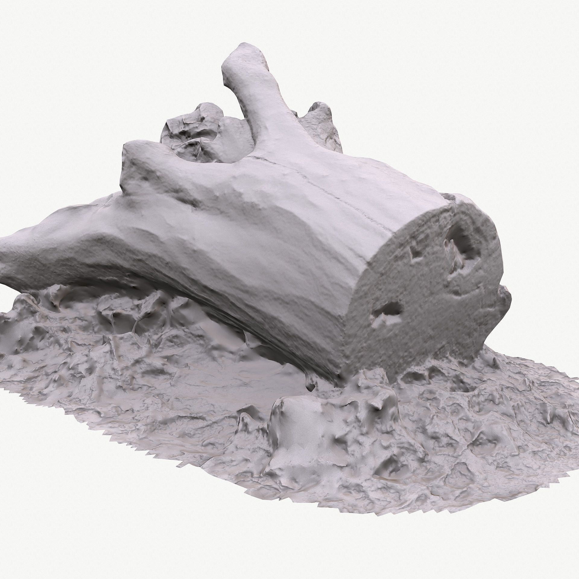 3D Scan BPR Tree Stump Collection model Low-poly 3D model_89