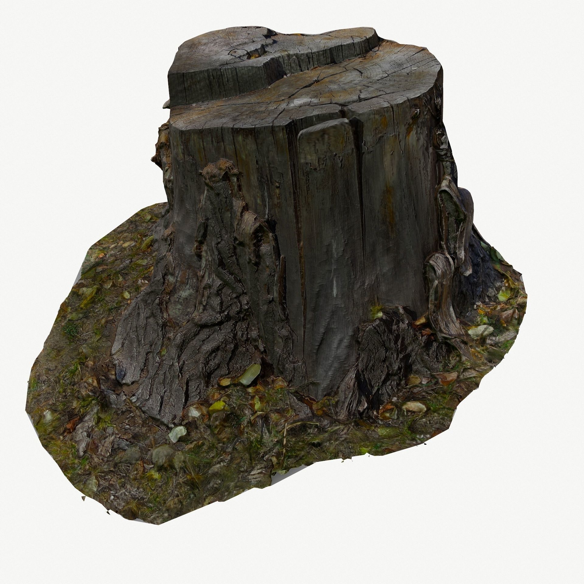 3D Scan BPR Tree Stump Collection model Low-poly 3D model_17
