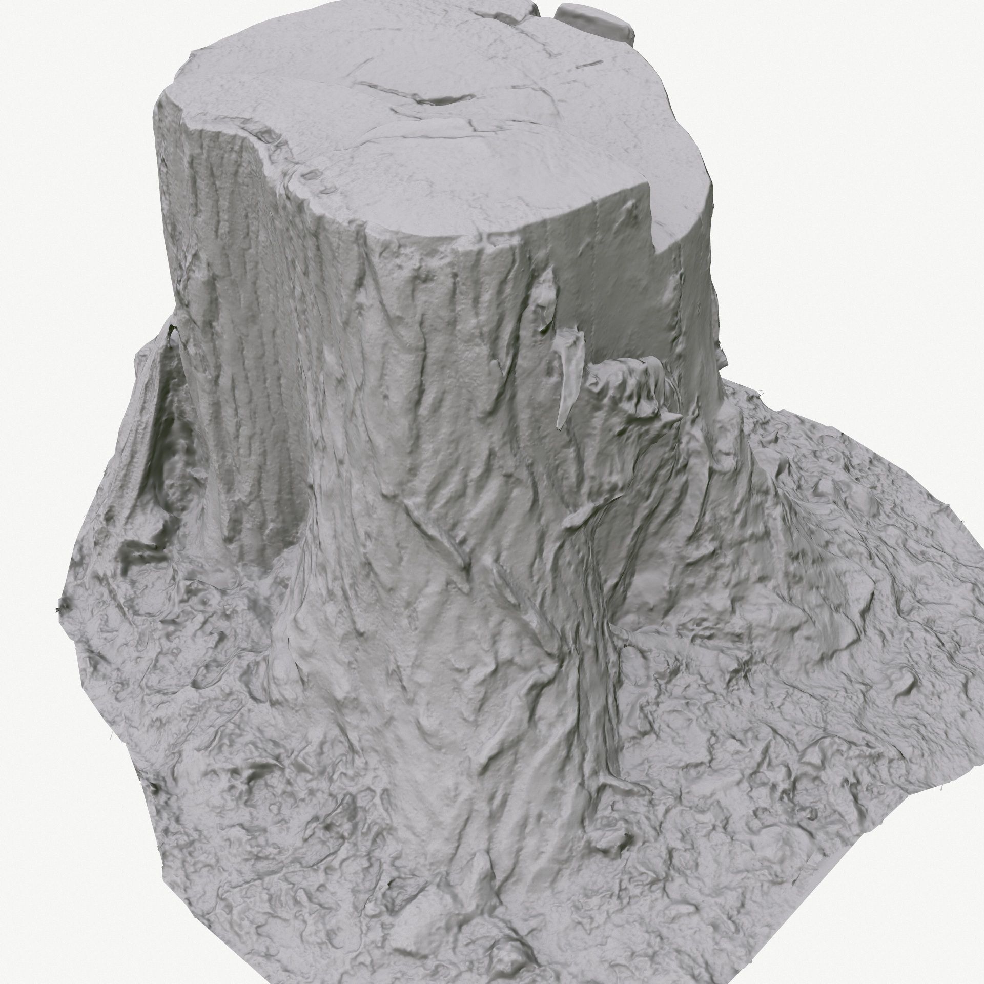3D Scan BPR Tree Stump Collection model Low-poly 3D model_120