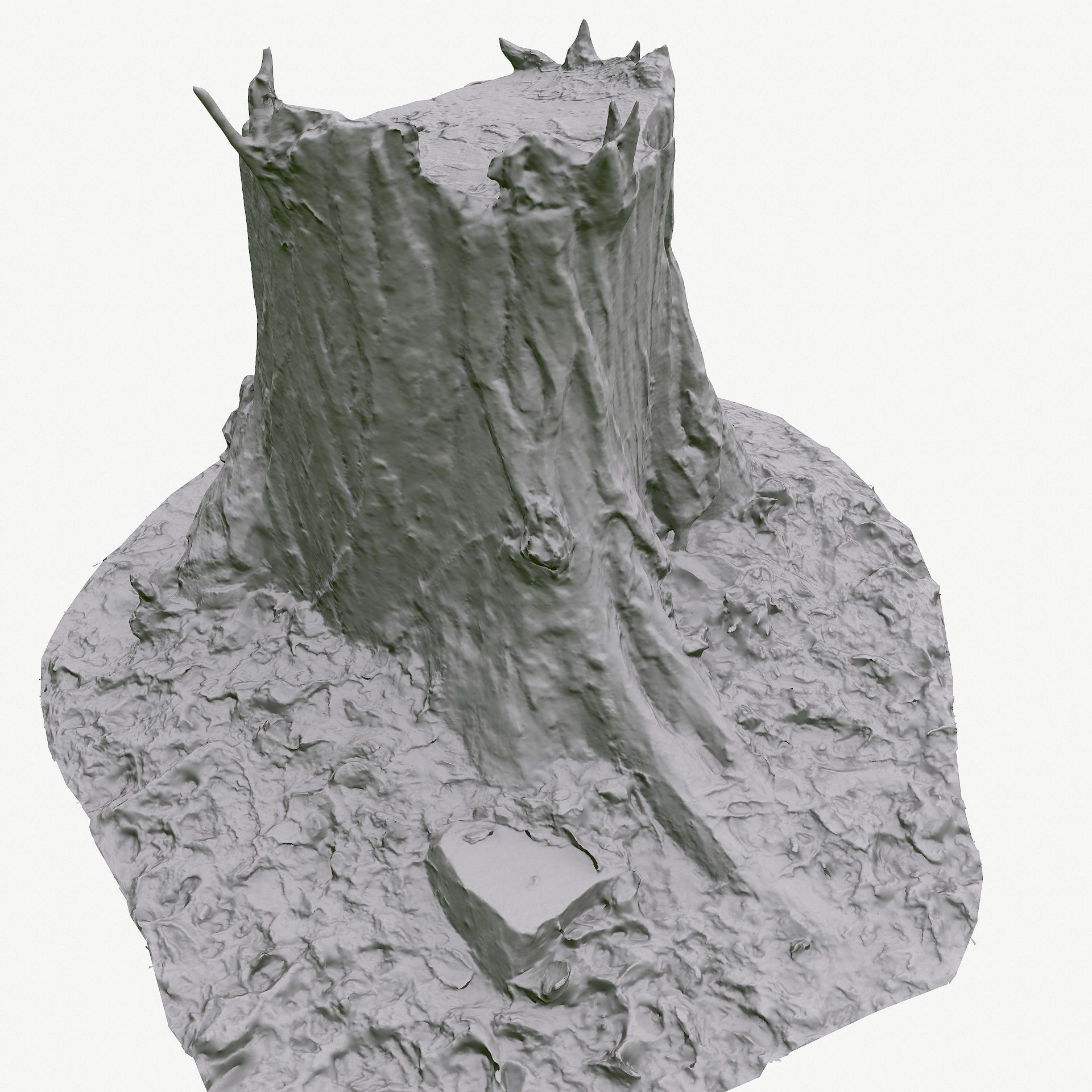 3D Scan BPR Tree Stump Collection model Low-poly 3D model_71